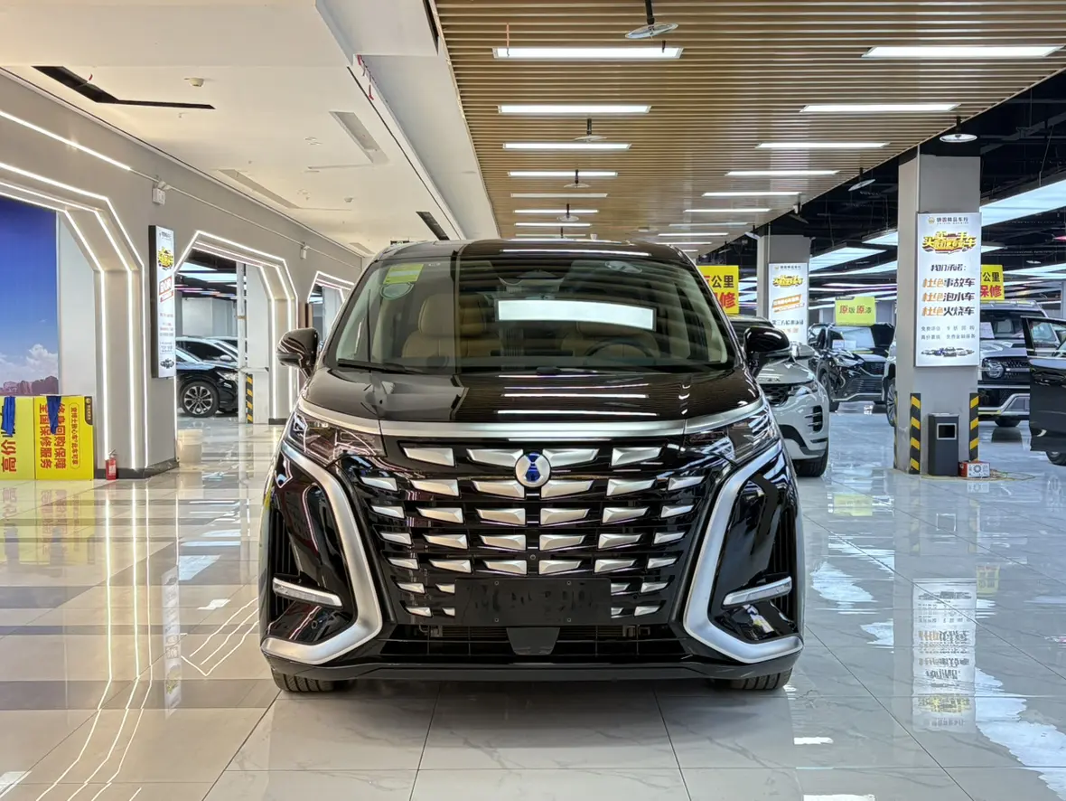 Denza D9 DM  из Китая