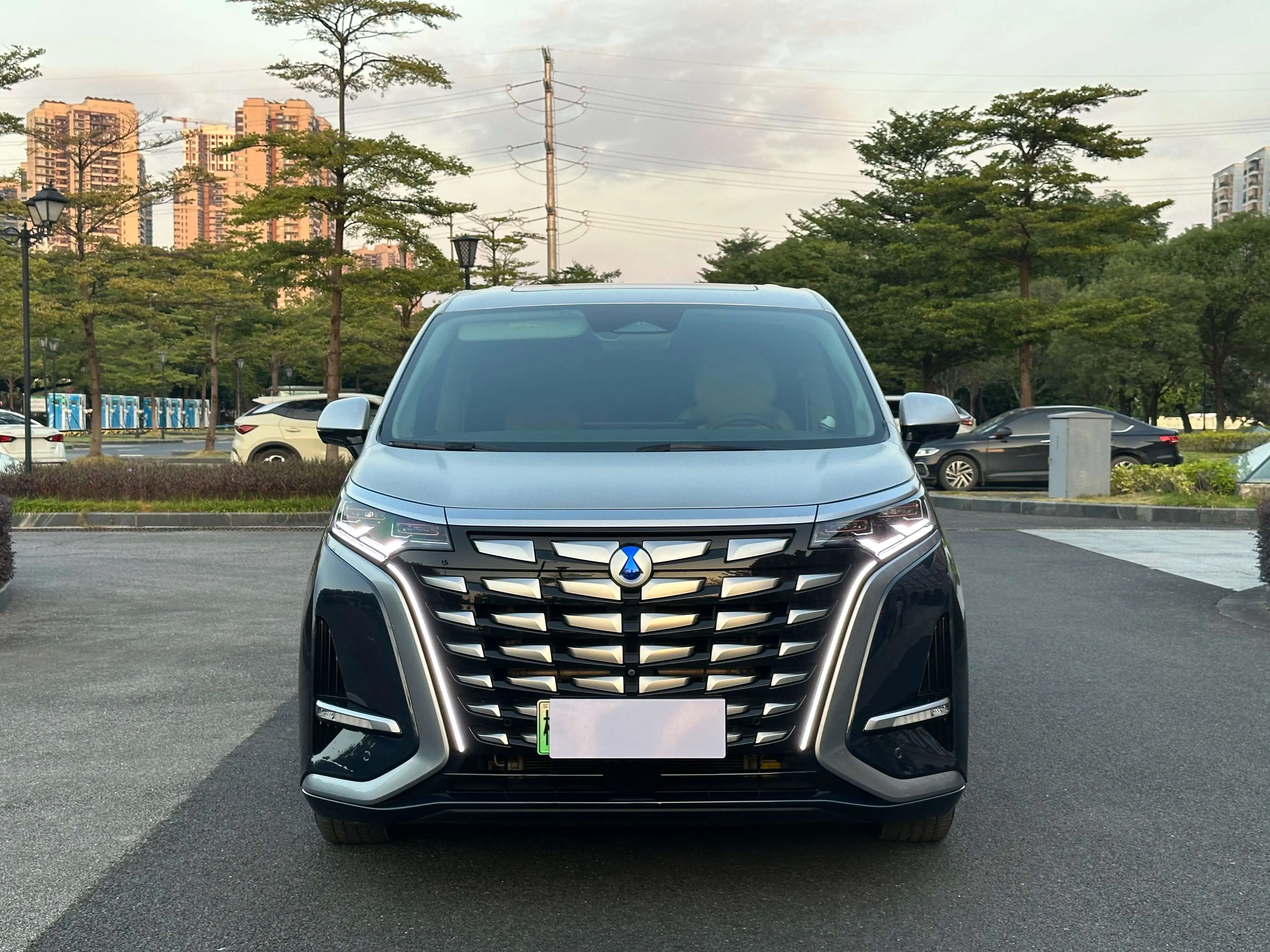 Denza D9 DM  из Китая