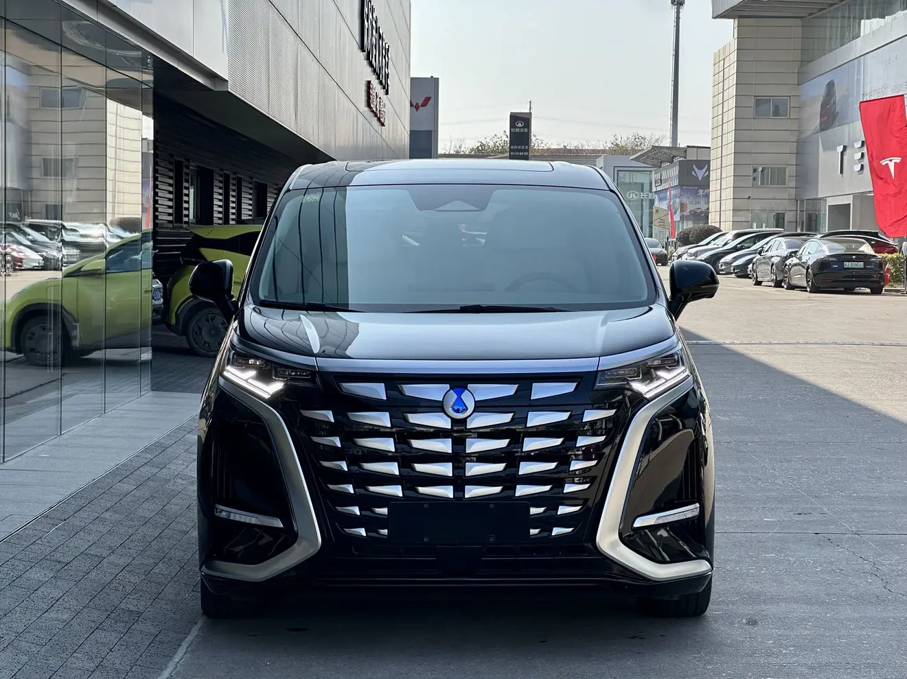 Denza D9 DM  из Китая