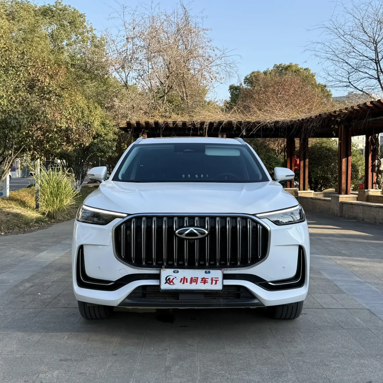 Chery Tiggo 9  из Китая