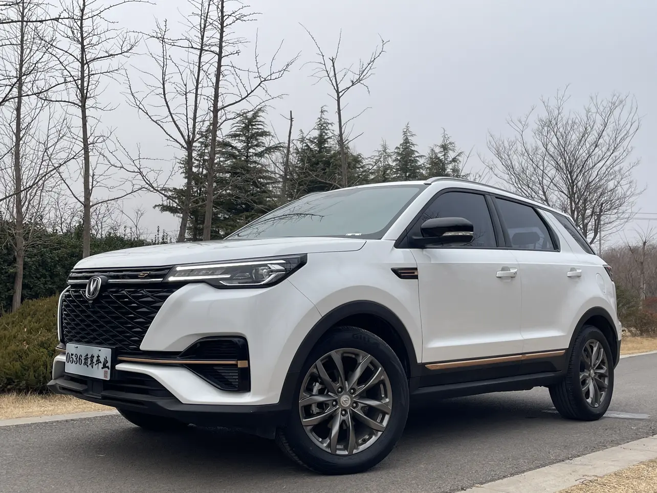 Changan CS55 PLUS  из Китая