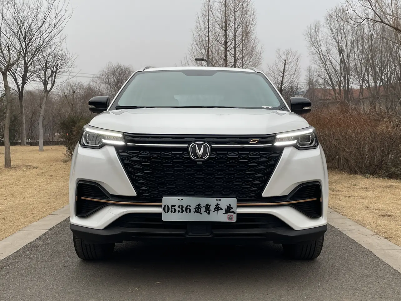 Changan CS55 PLUS  из Китая