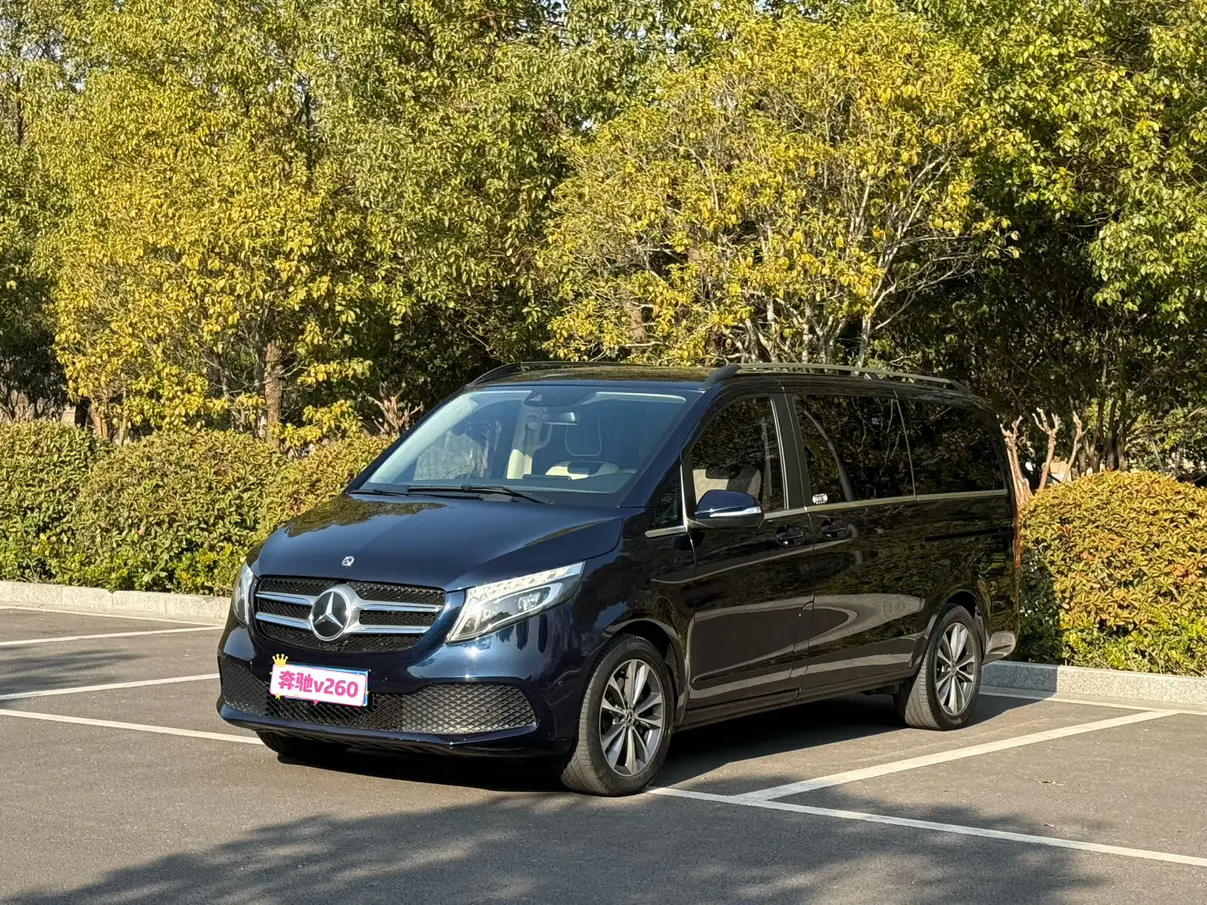 Mercedes-Benz Mercedes Benz V Class  из Китая