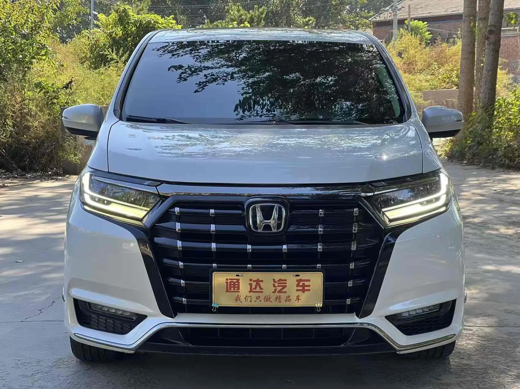 Honda Elysion (Alison)  из Китая