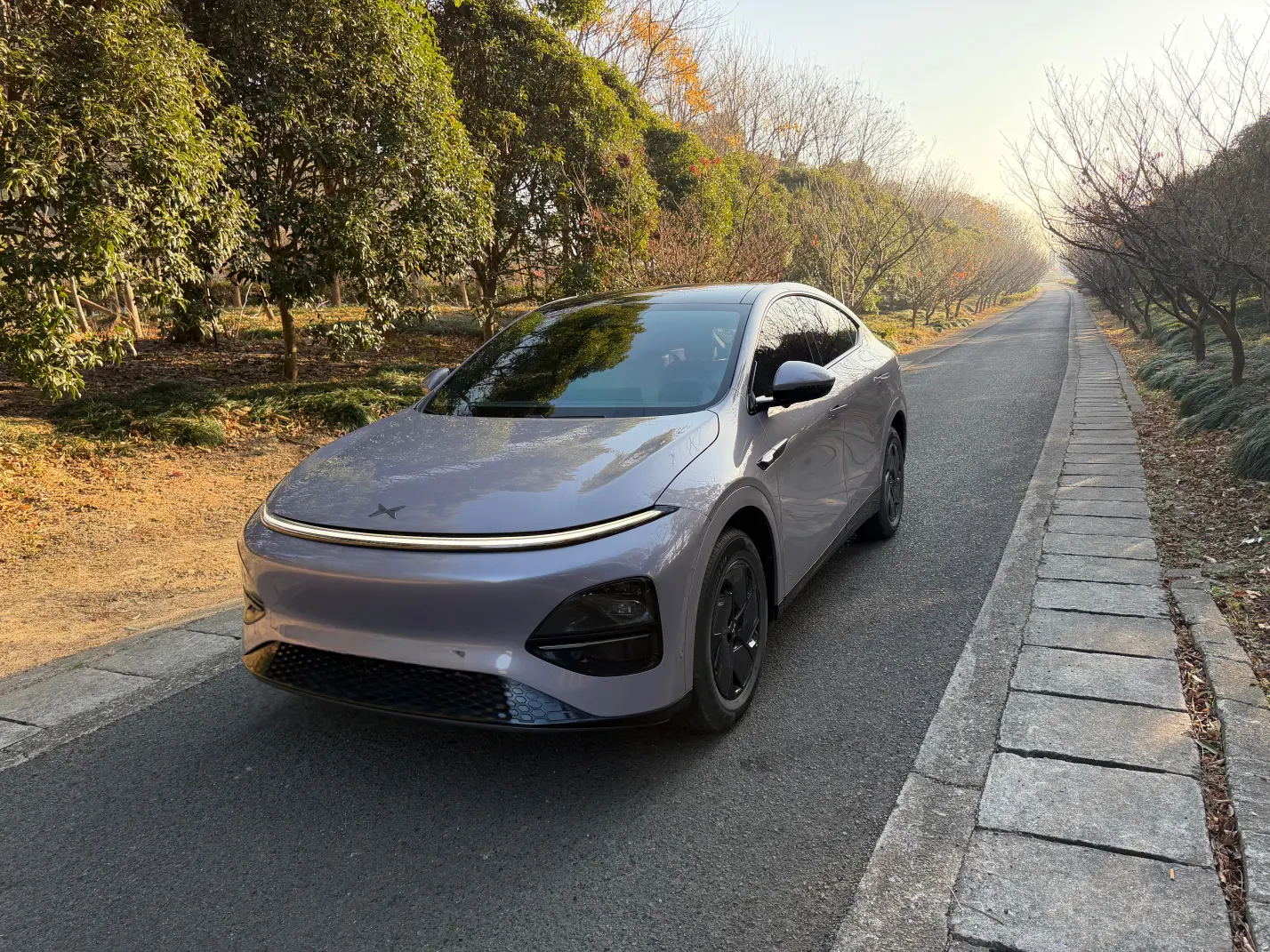 Xpeng G6  из Китая