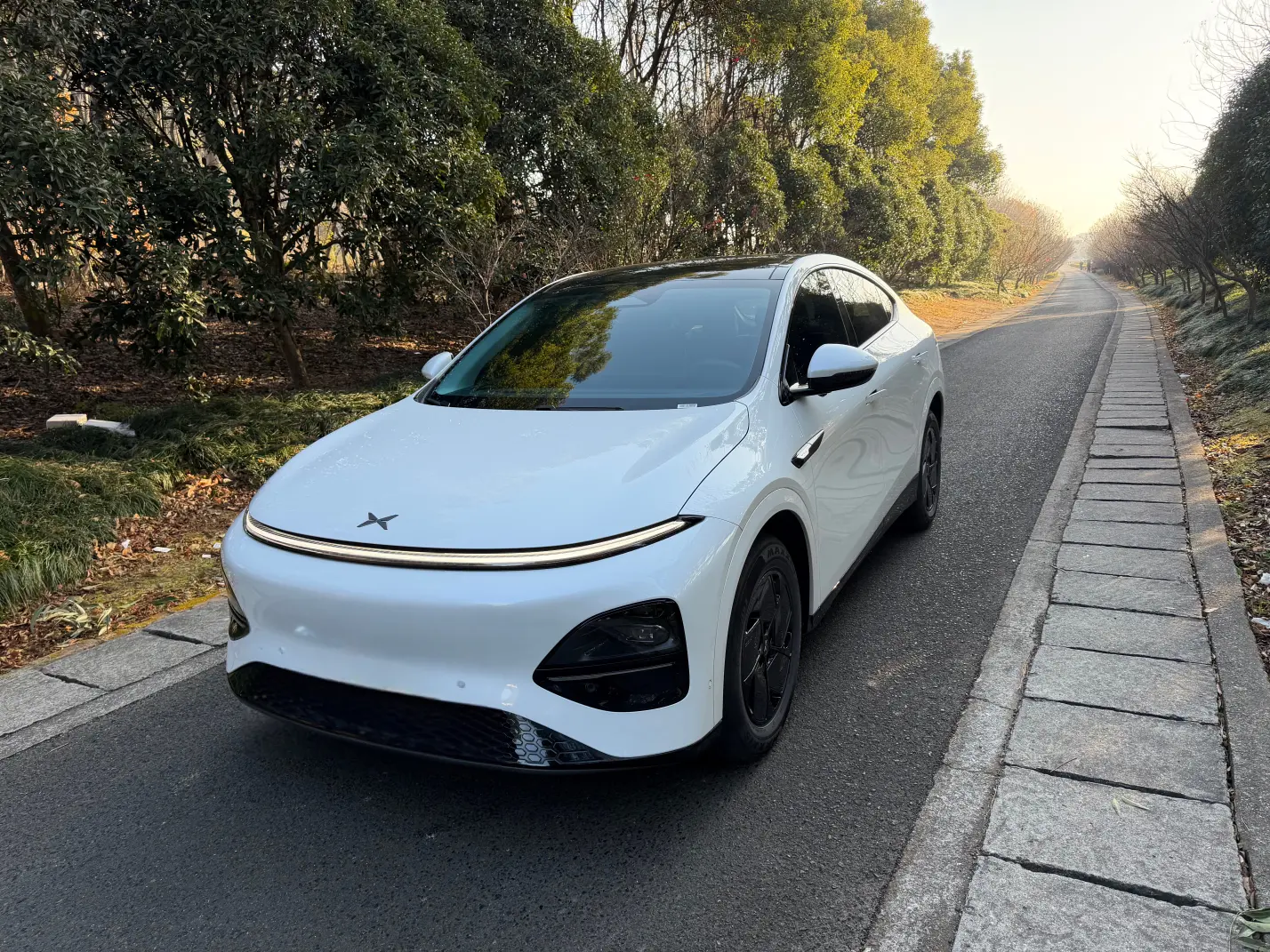 Xpeng G6  из Китая