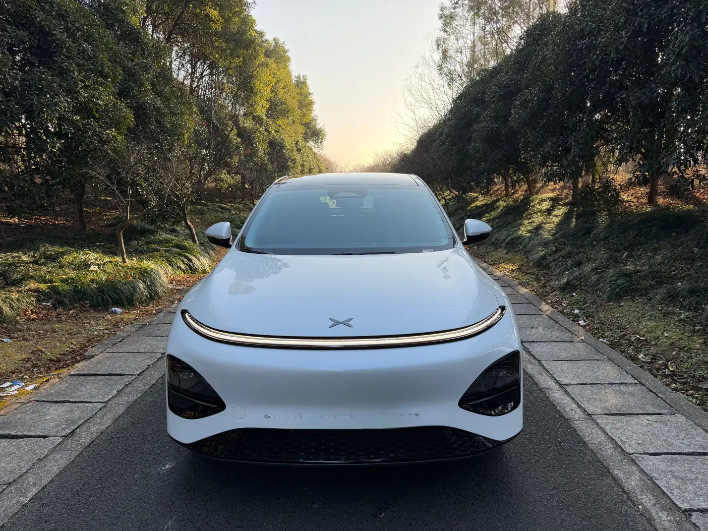 Xpeng G6  из Китая