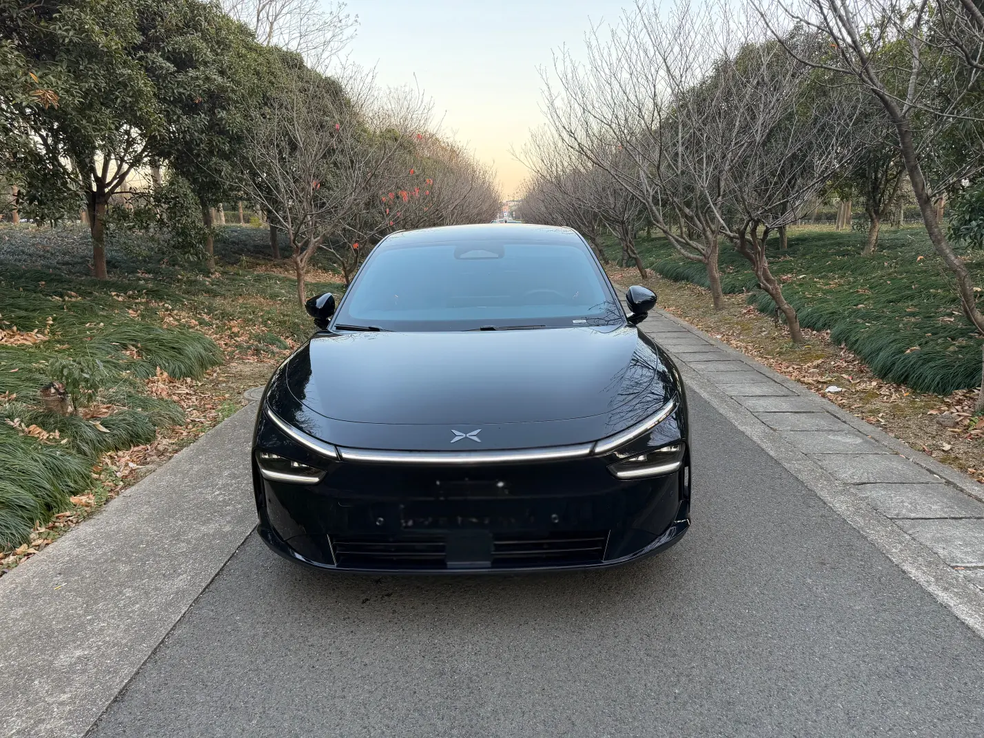 Xpeng P7+  из Китая