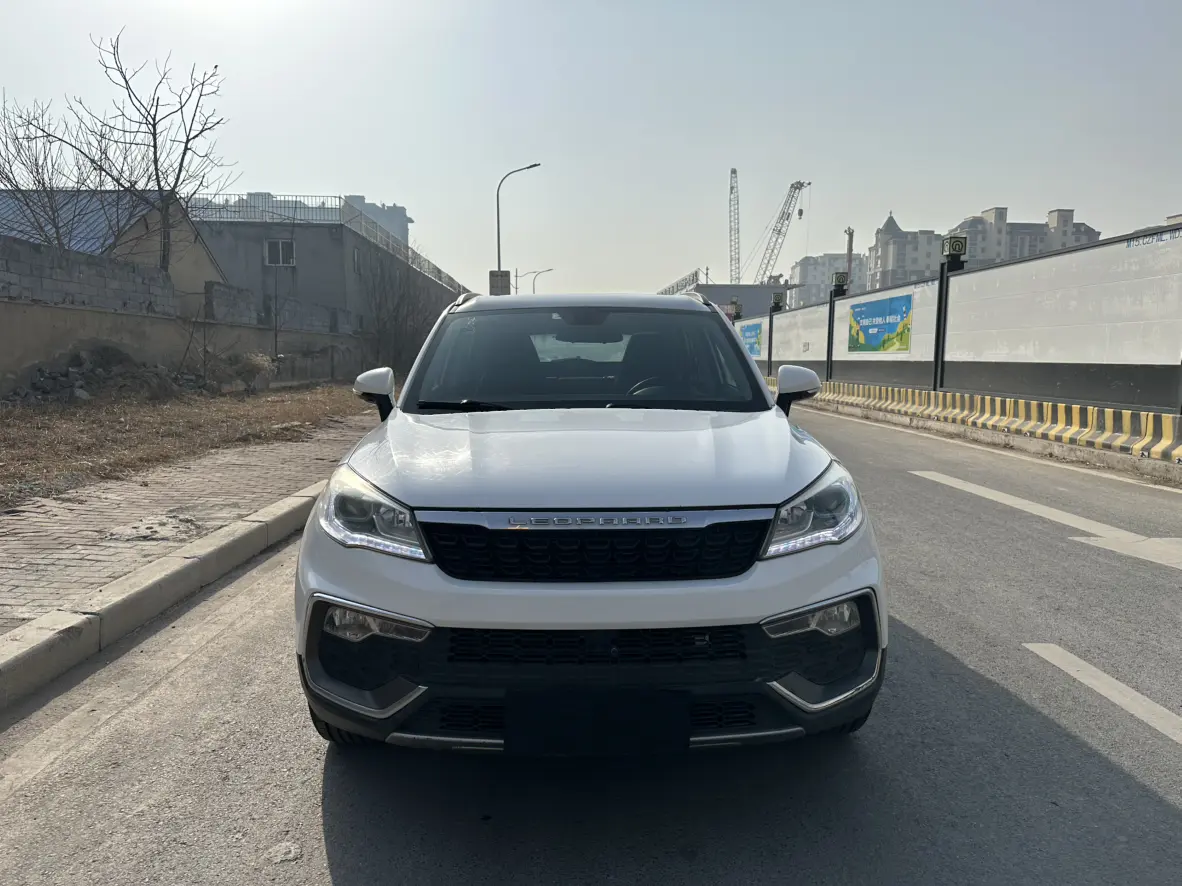 Cheetah cars Cheetah CS9  из Китая