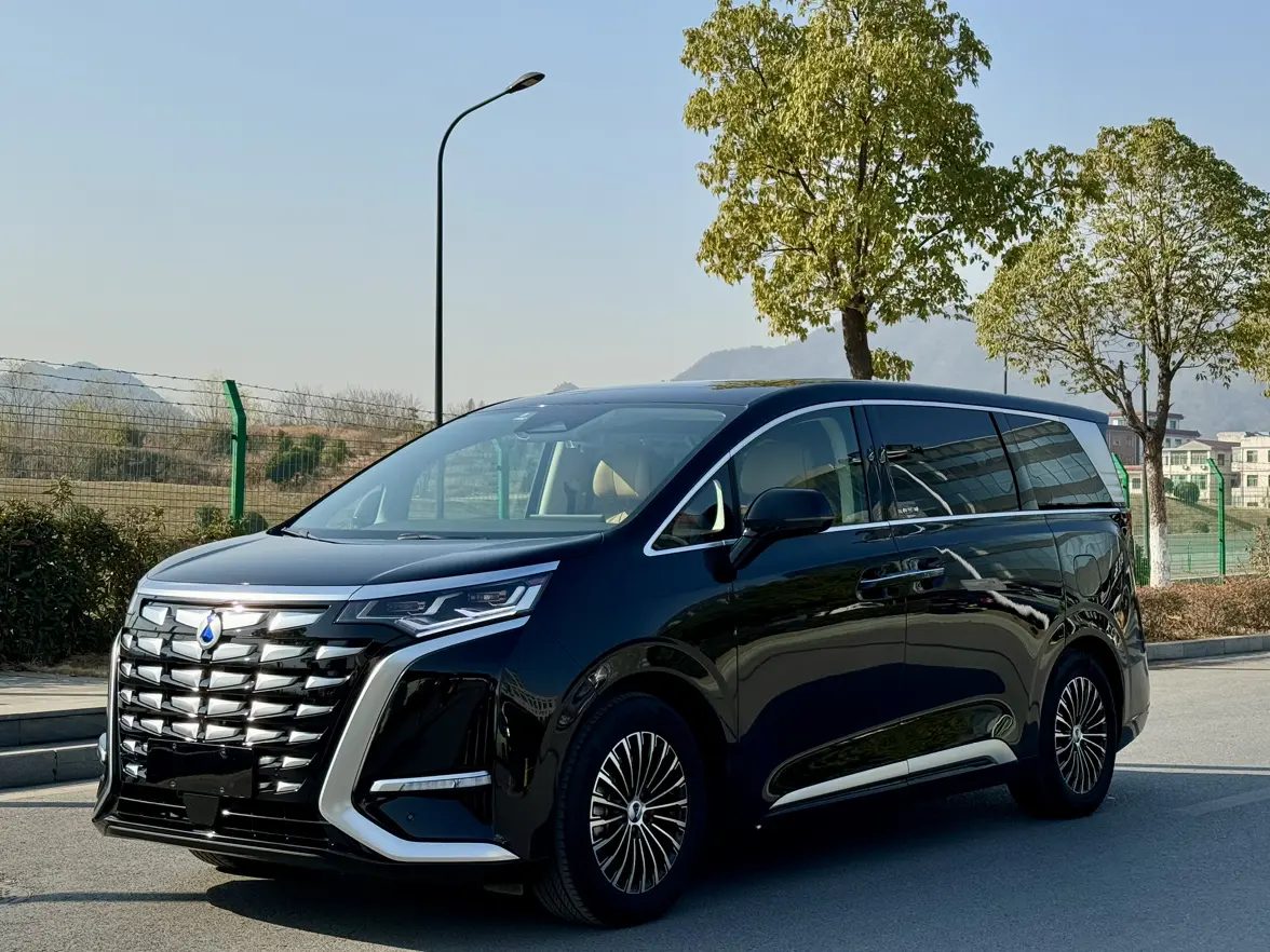 Denza D9 DM  из Китая