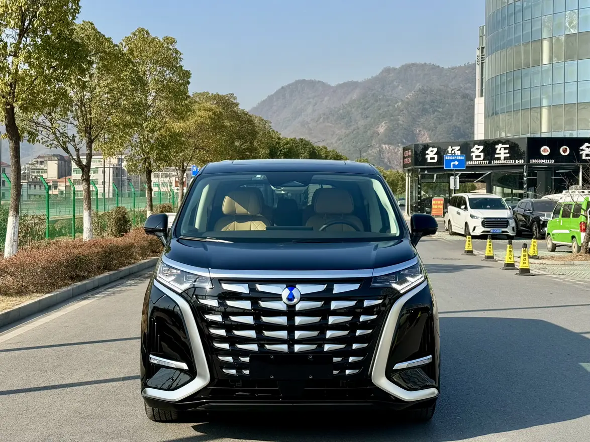 Denza D9 DM  из Китая