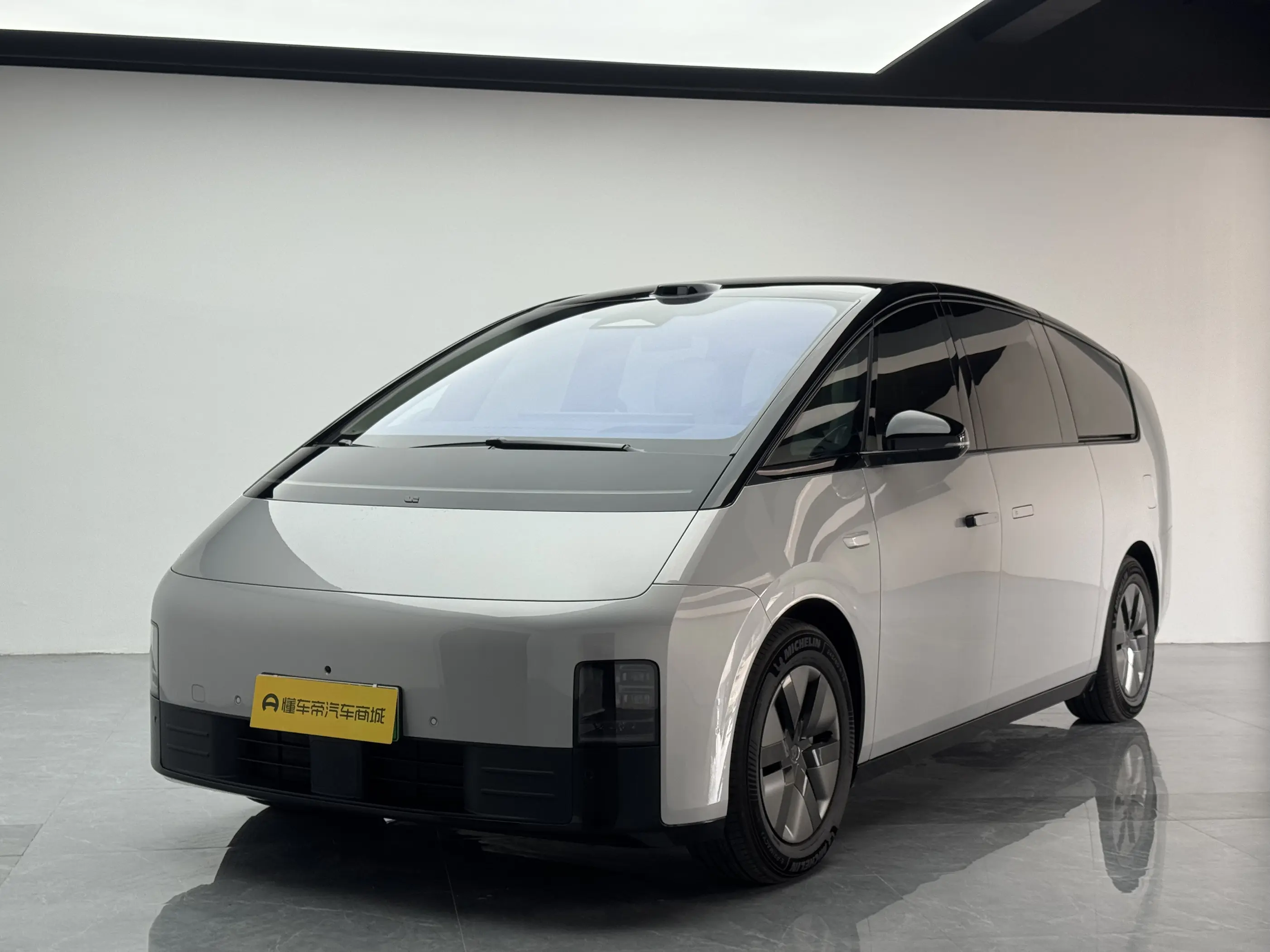 Li MEGA (Ideal MEGA)  из Китая