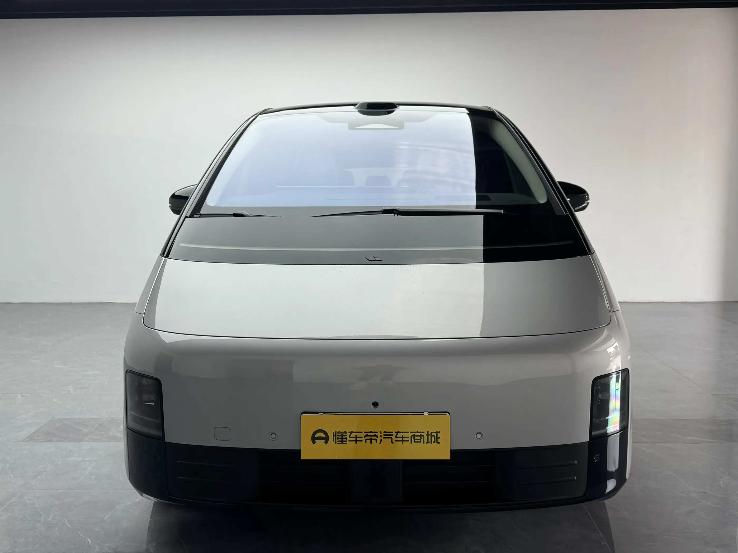 Li MEGA (Ideal MEGA)  из Китая