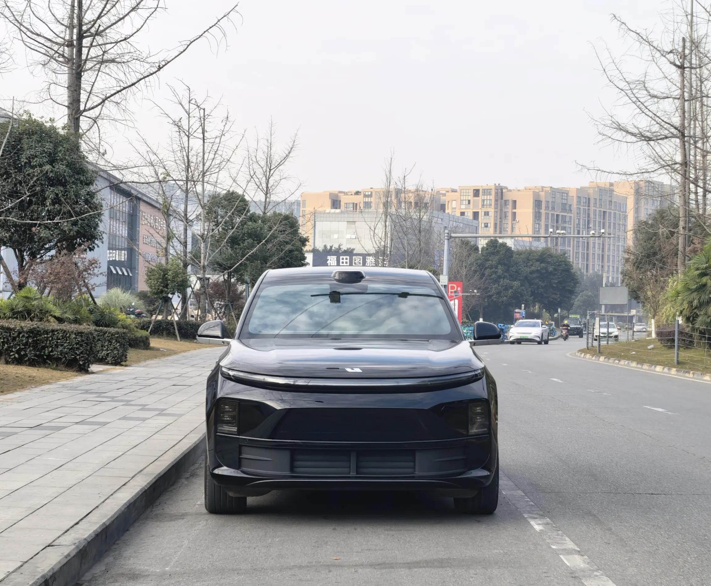 Li L6 (Ideal L6)  из Китая