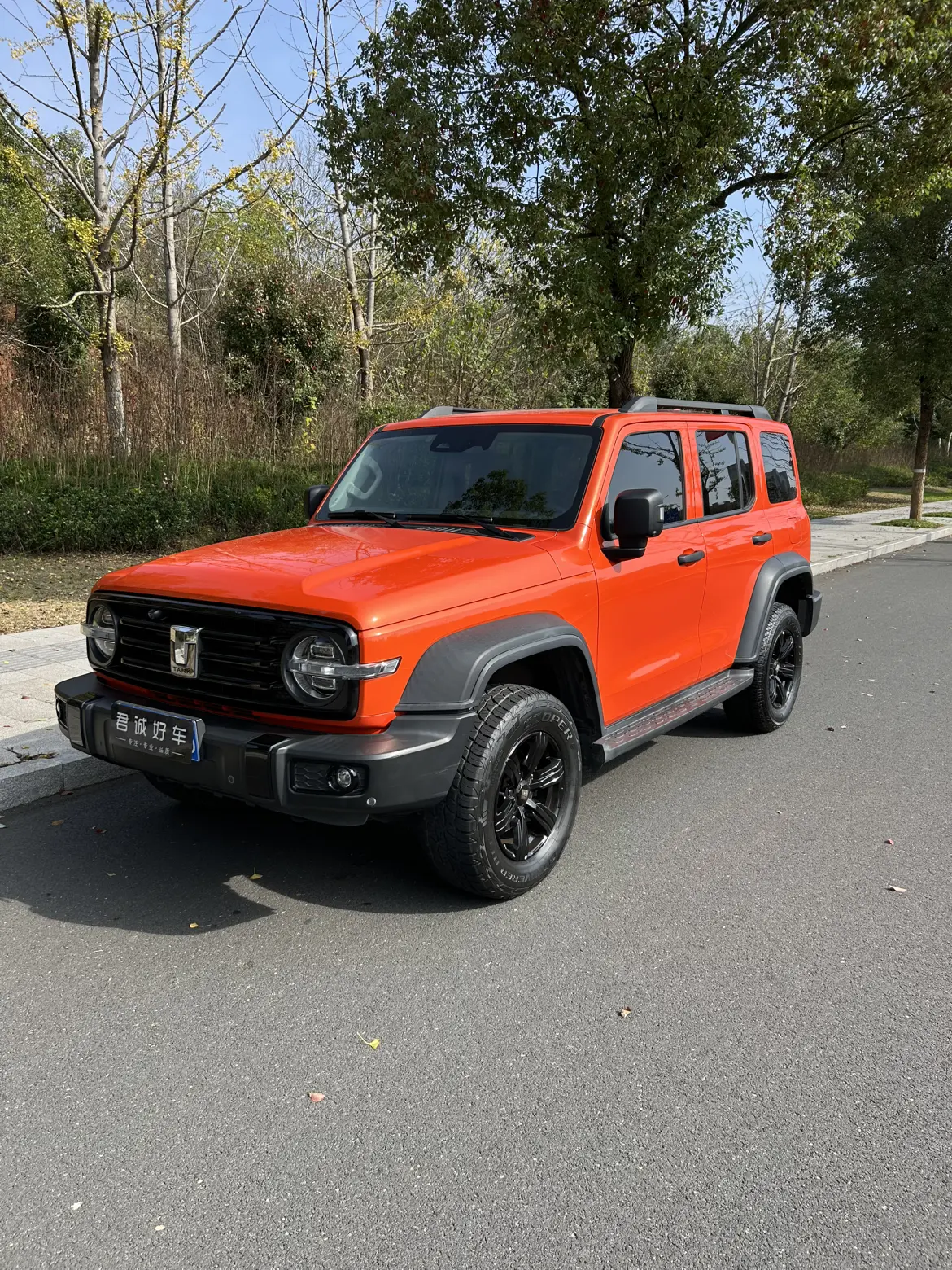 Tank 300  из Китая