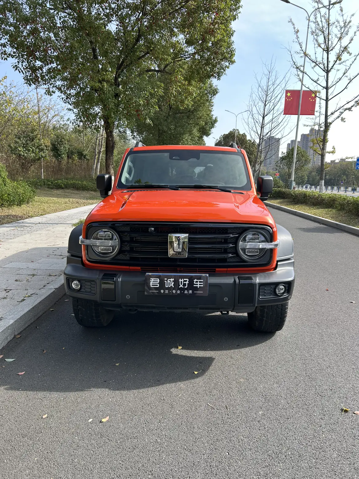 Tank 300  из Китая