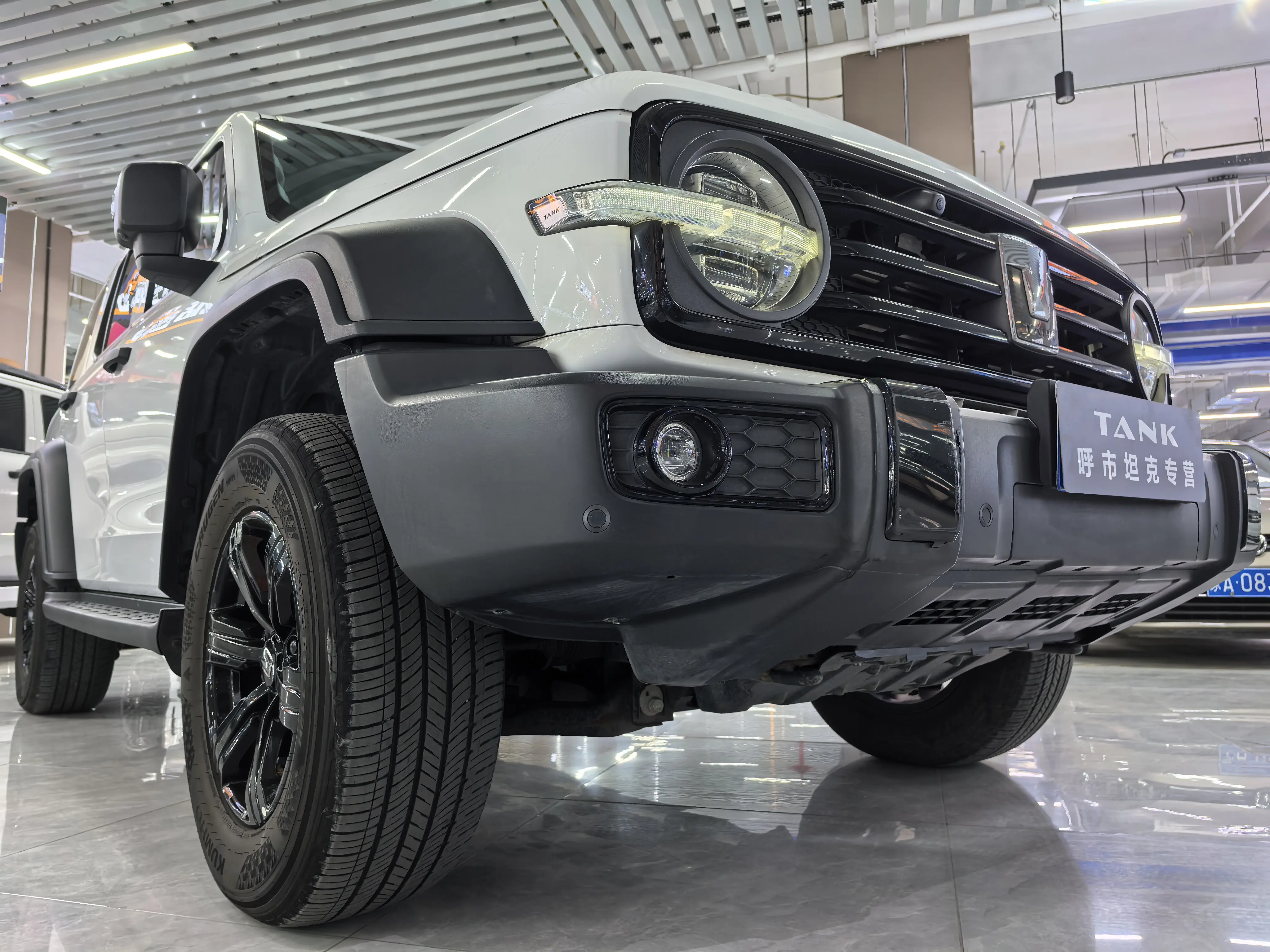 Tank 300  из Китая