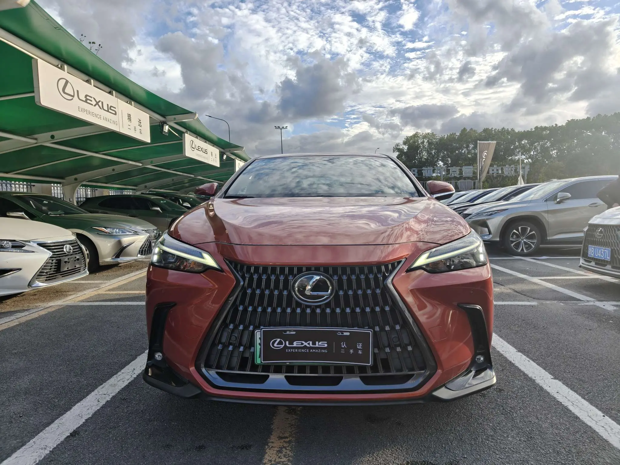 Lexus NX PHEV  из Китая