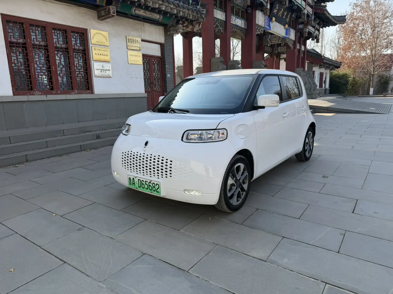 ORA Euler white cat  из Китая