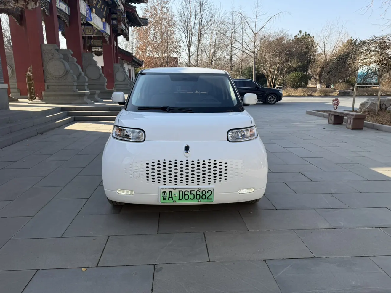 ORA Euler white cat  из Китая