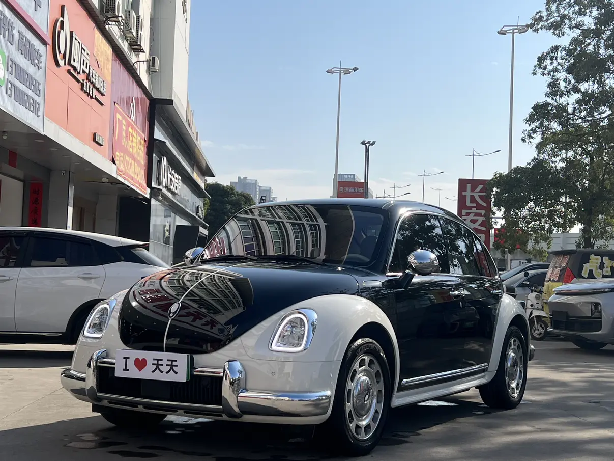 ORA Euler ballet cat  из Китая