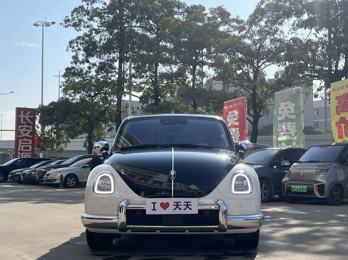 ORA Euler ballet cat  из Китая