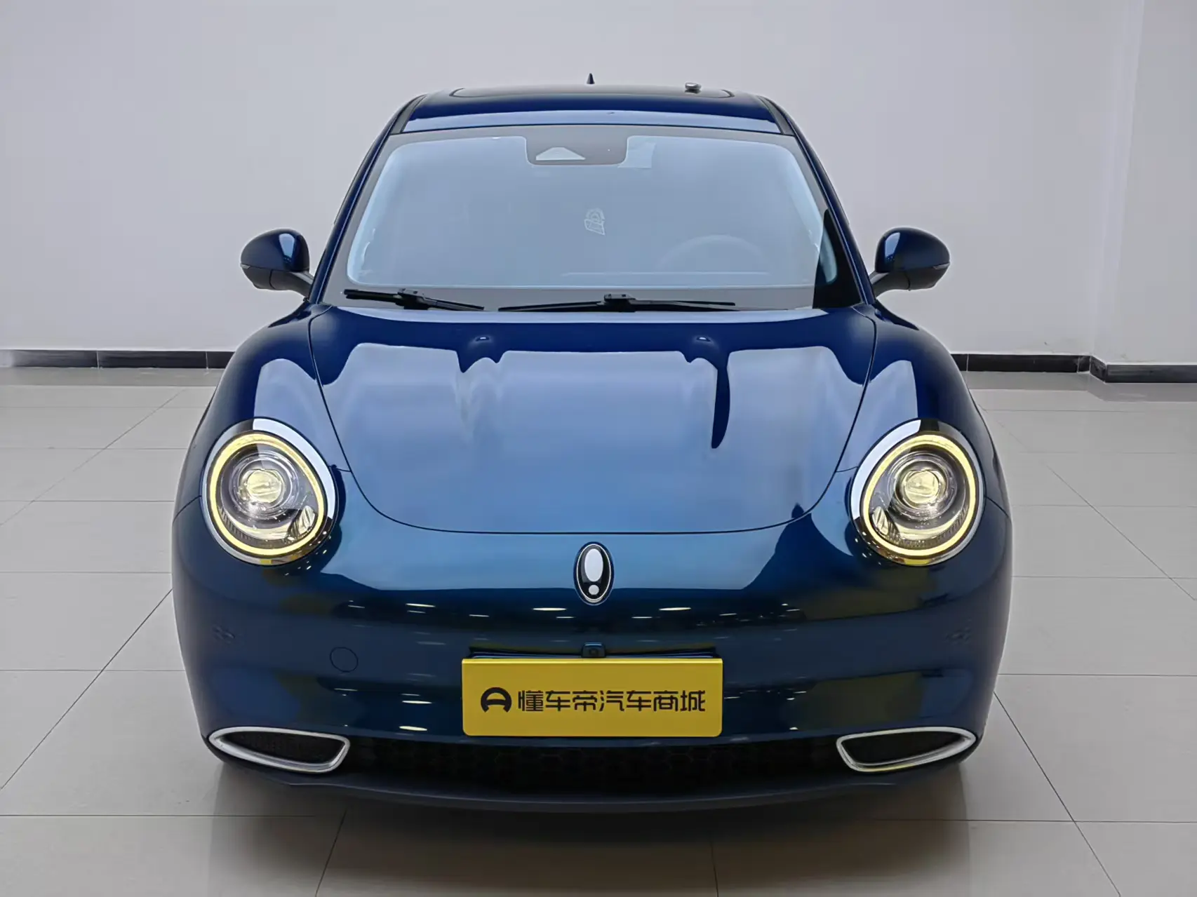 ORA Euler good cat  из Китая