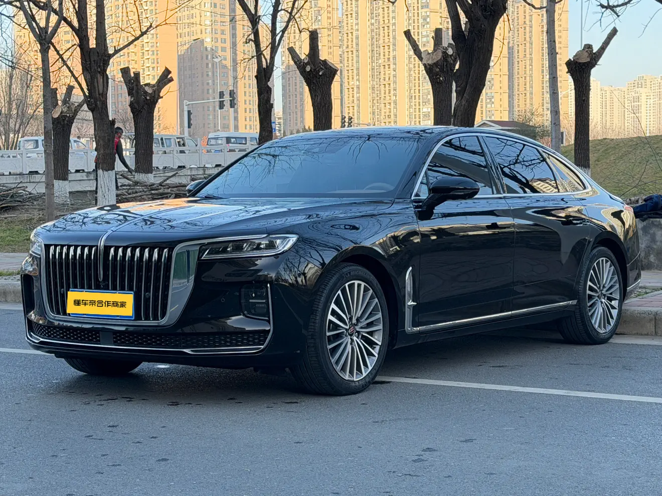 Hongqi H9  из Китая