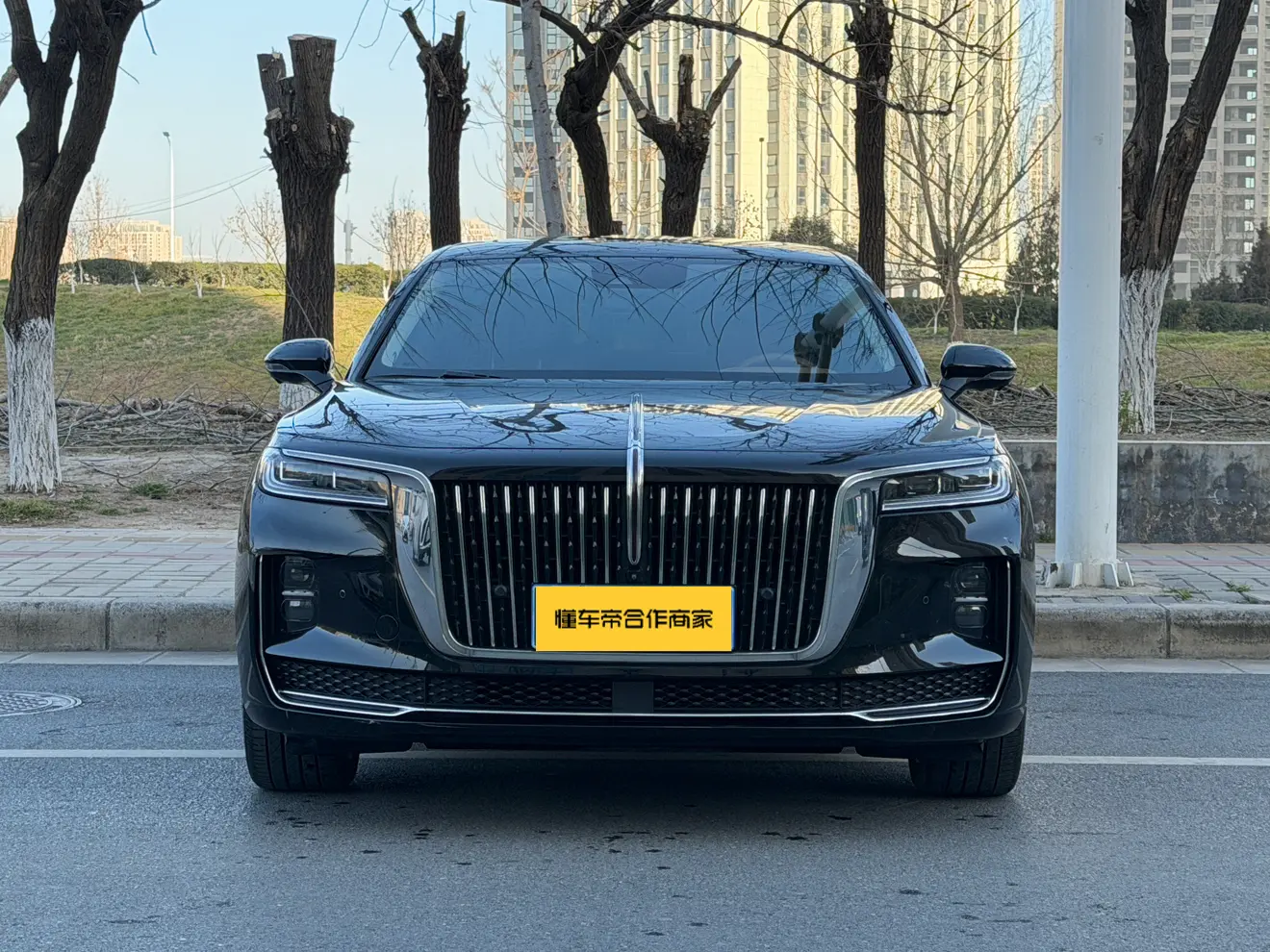 Hongqi H9  из Китая
