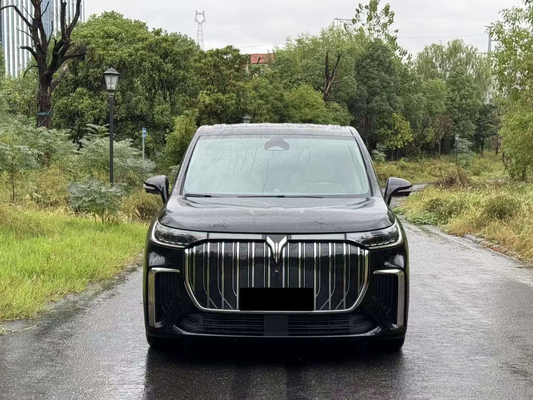 Voyah Lantu Dreamer EV  из Китая