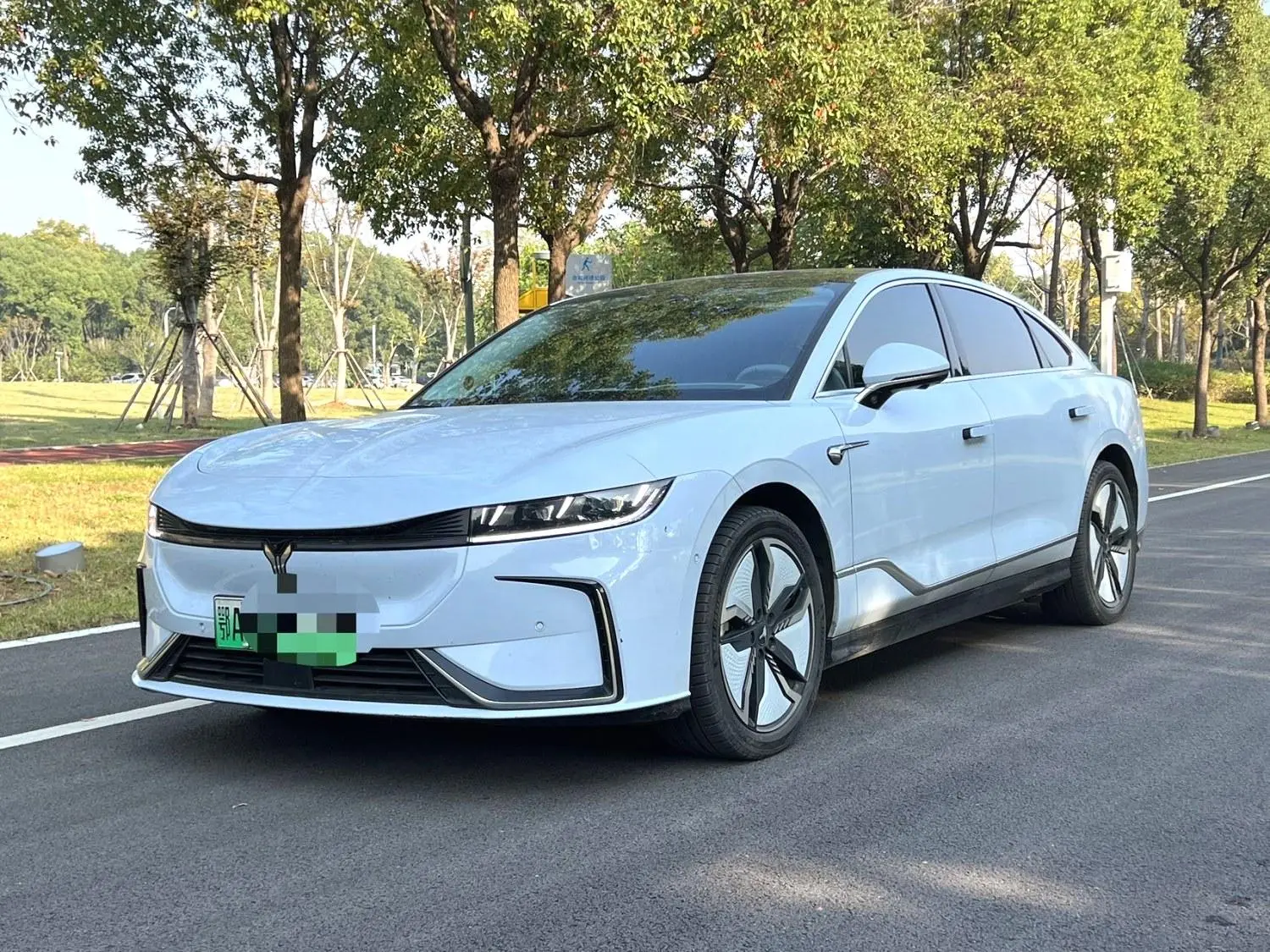 Voyah Passion EV  из Китая