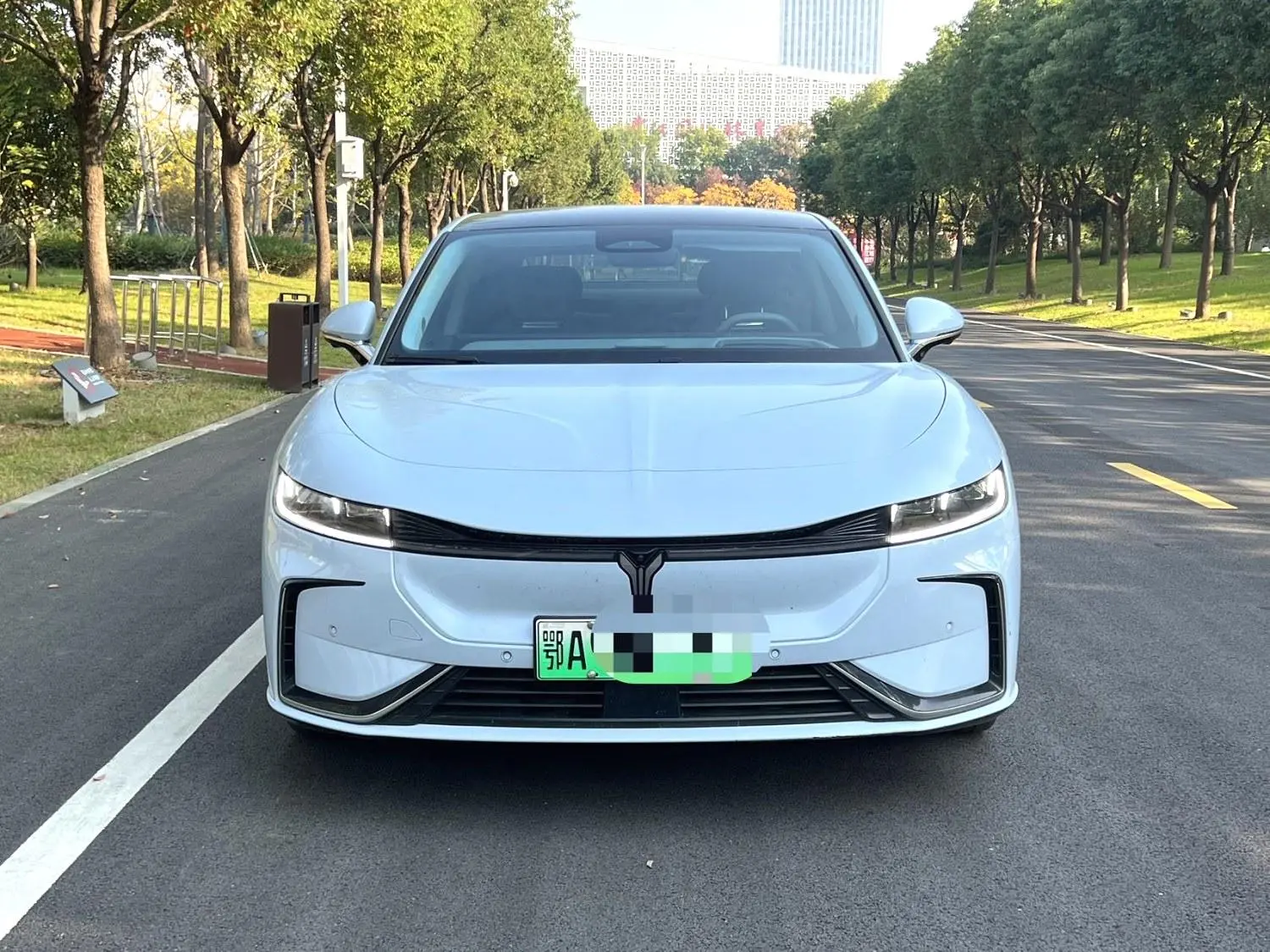 Voyah Passion EV  из Китая