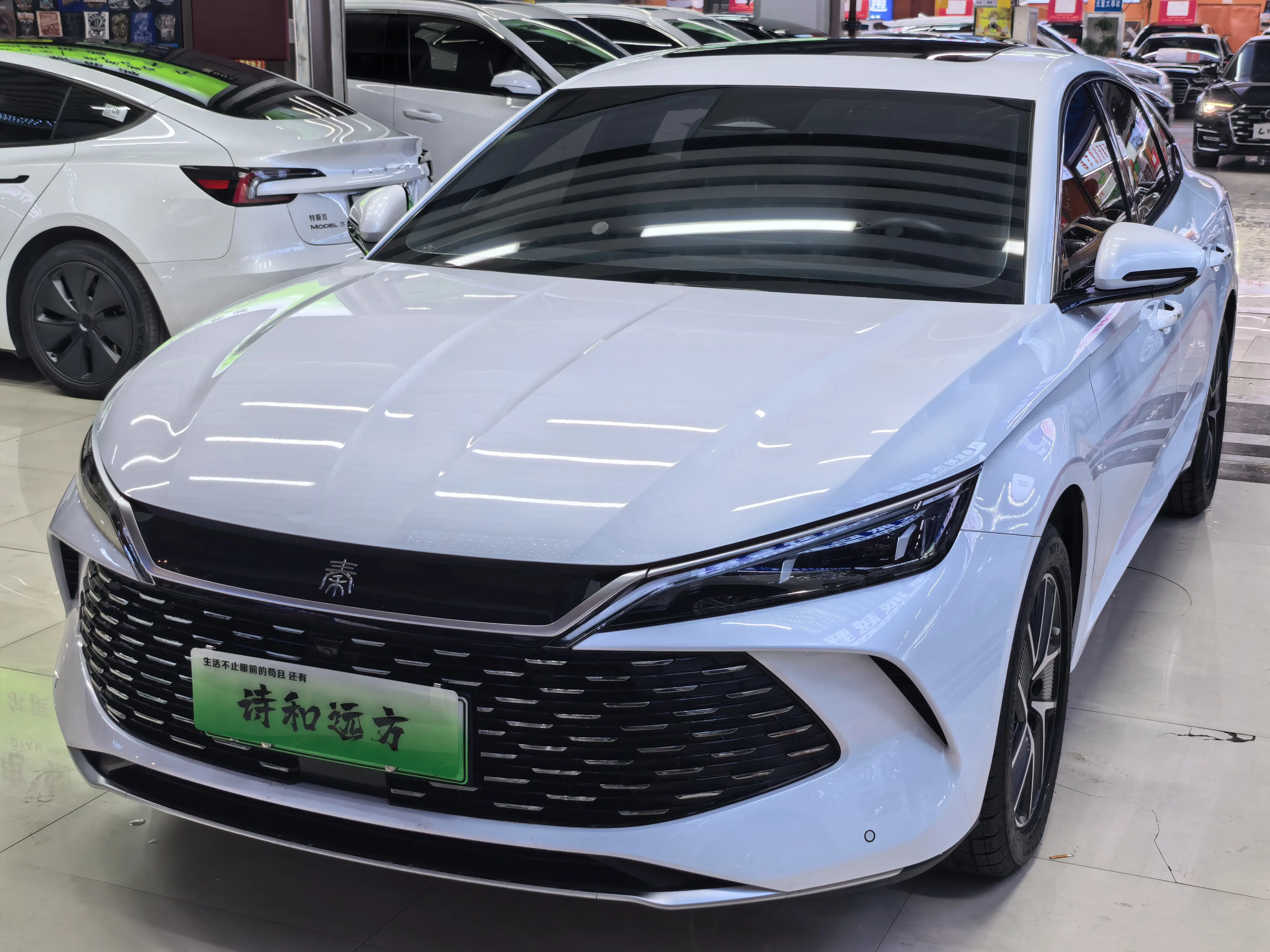 BYD Qin L DM  из Китая