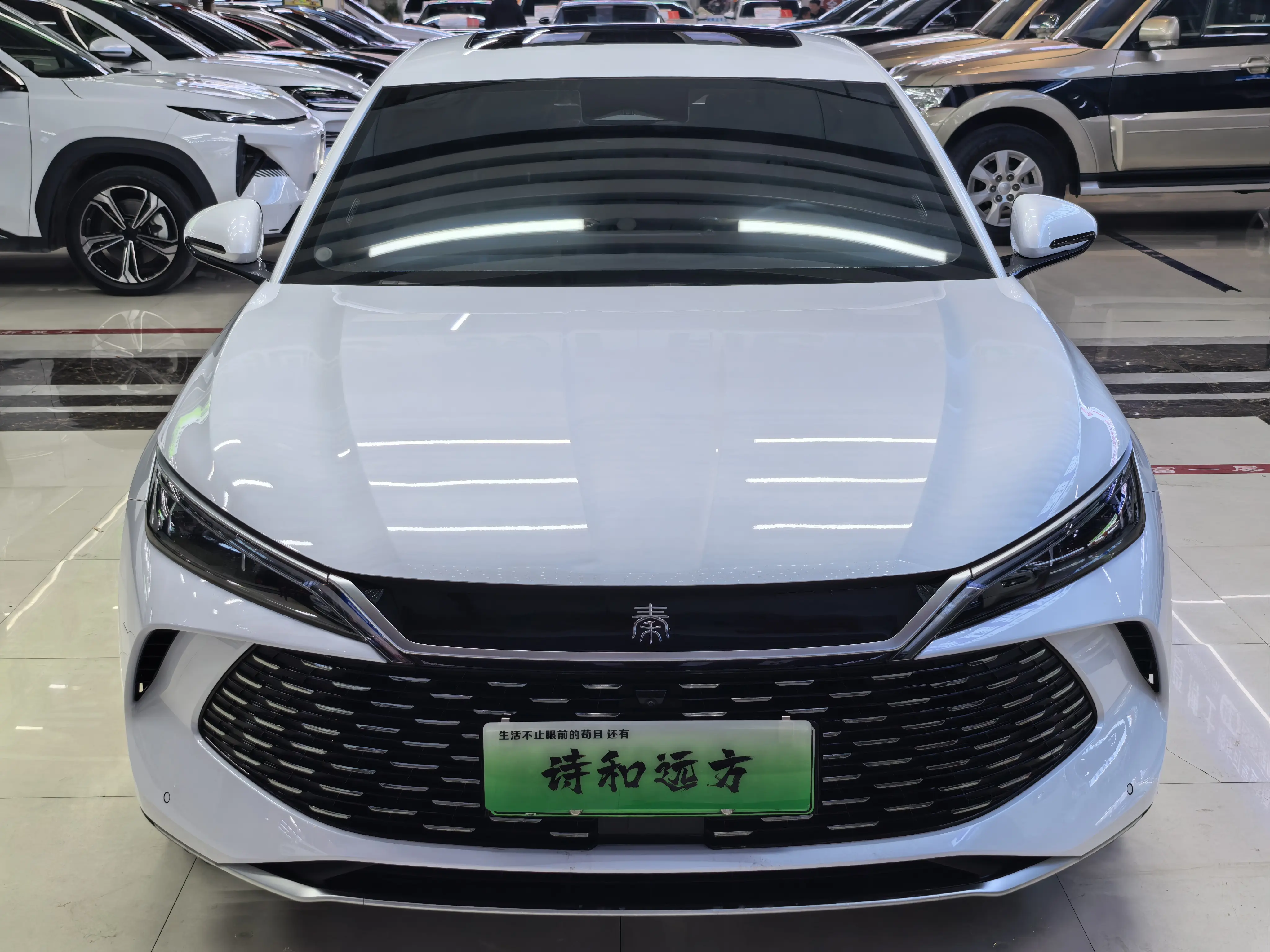 BYD Qin L DM  из Китая