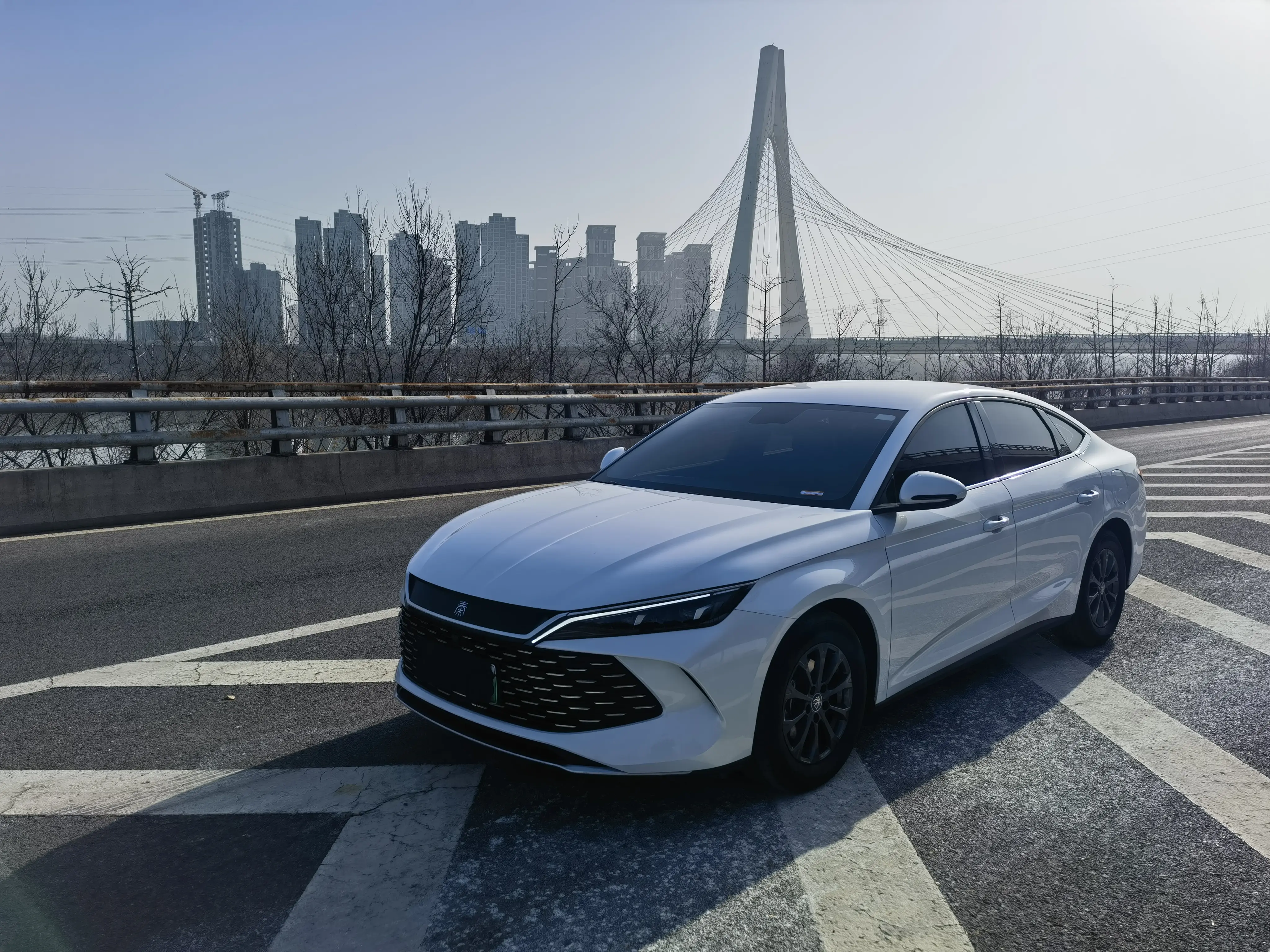 BYD Qin L DM  из Китая