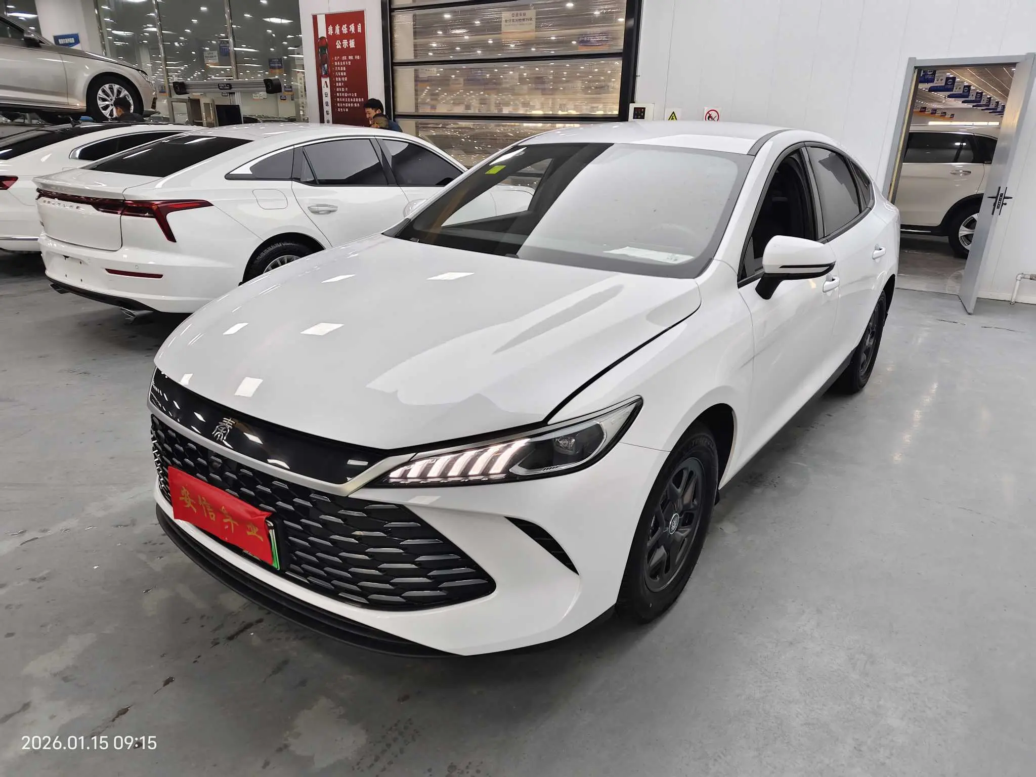 BYD Qin PLUS DM  из Китая