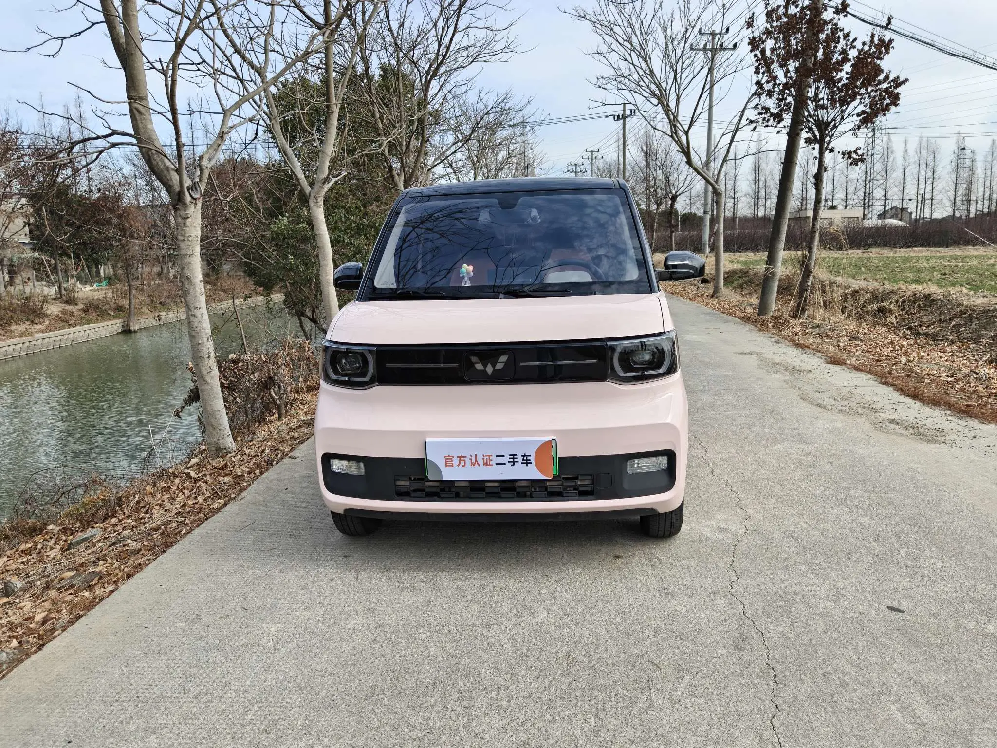 Wuling Hongguang MINIEV  из Китая