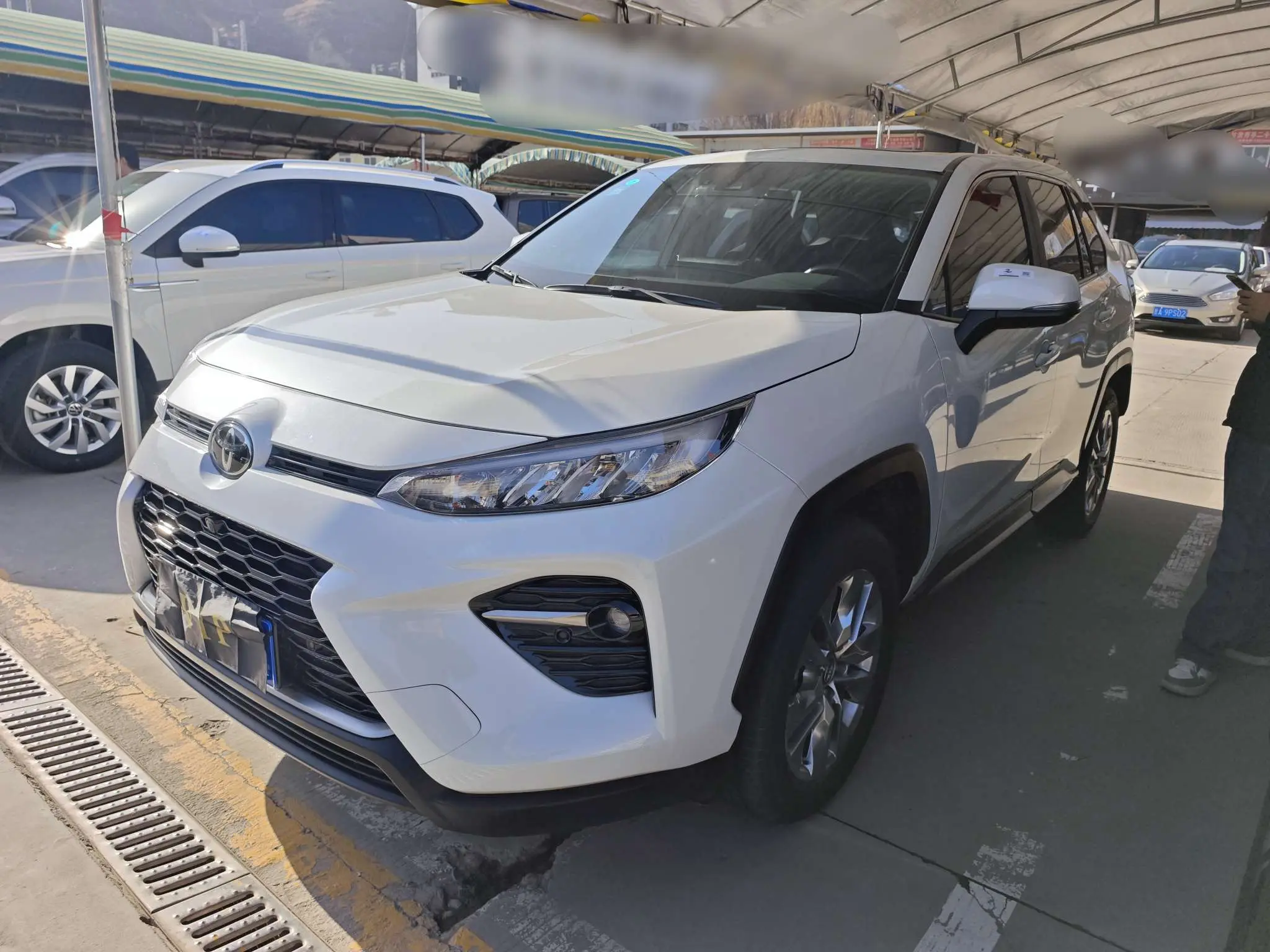 Toyota Willanda