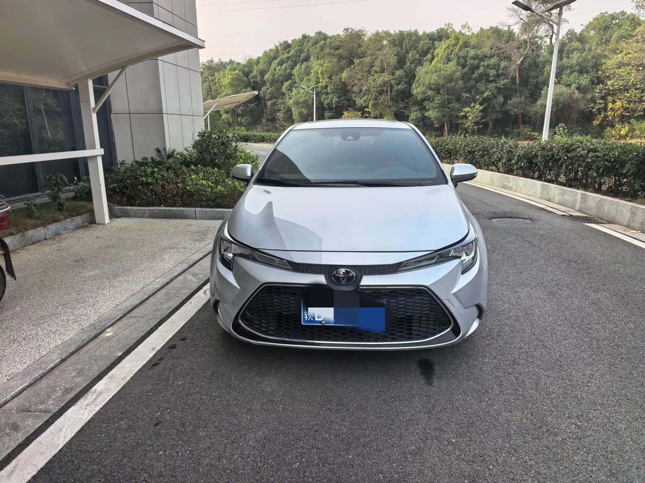 Toyota Levin
