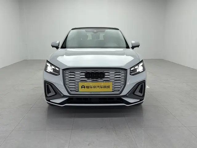 Audi Q2L e-tron  из Китая
