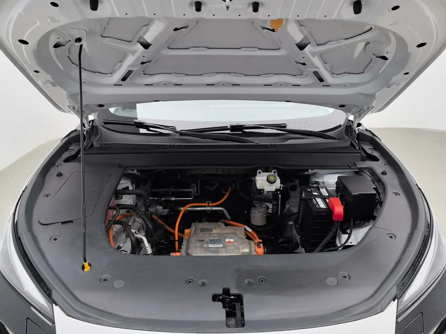 Forthing Wind and Thunder  из Китая