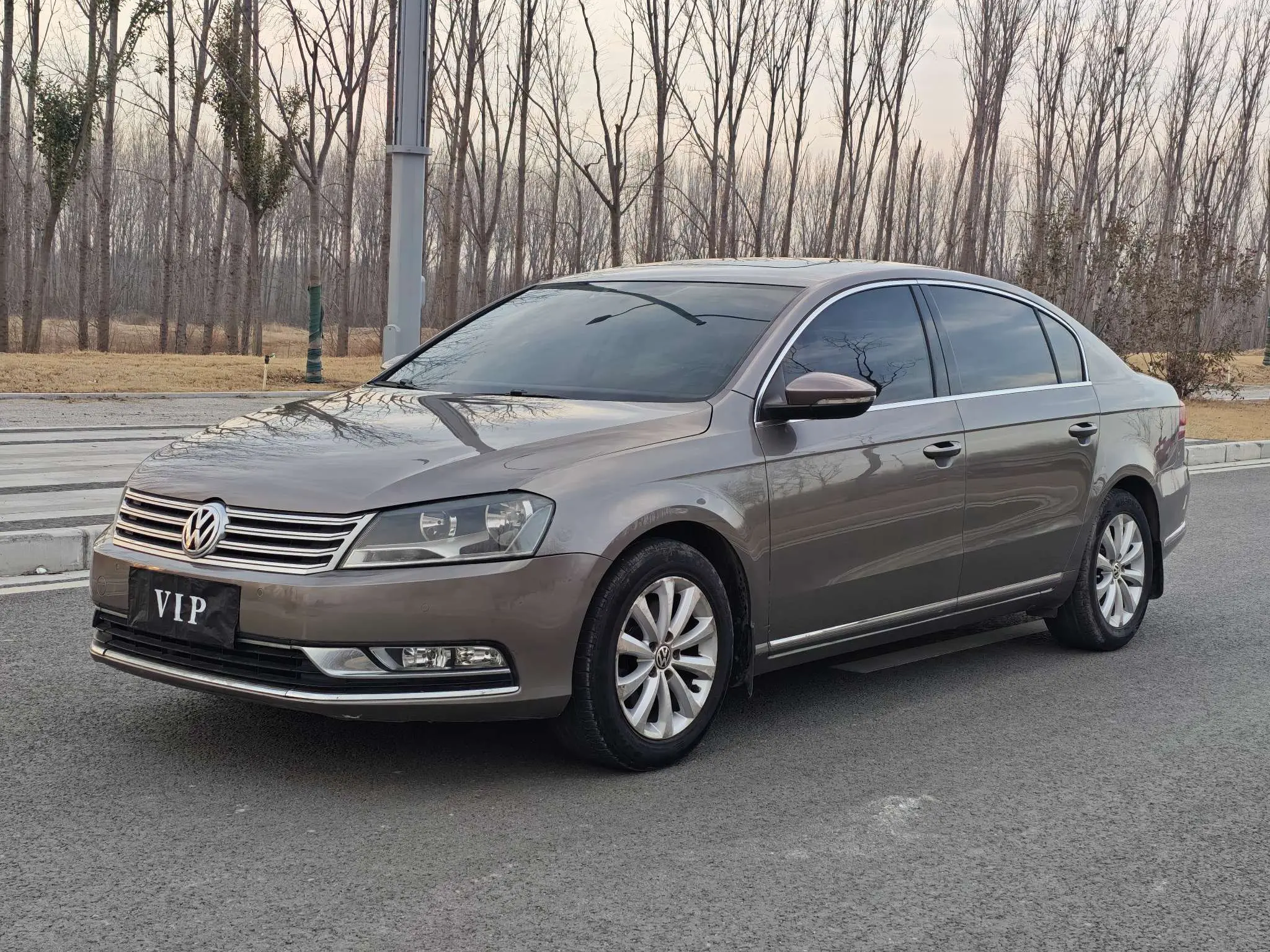 Volkswagen Magotan  из Китая