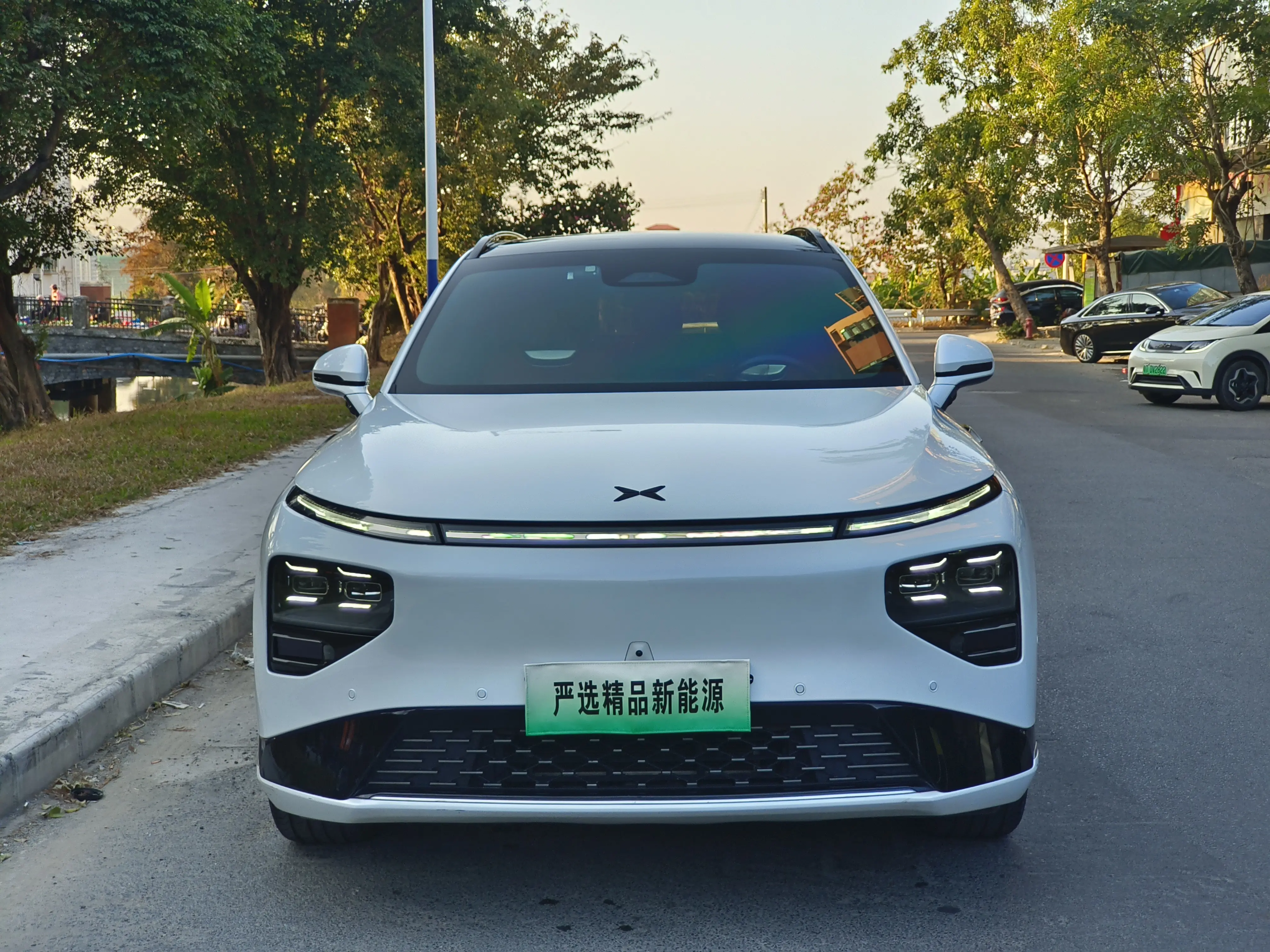 Xpeng G9  из Китая