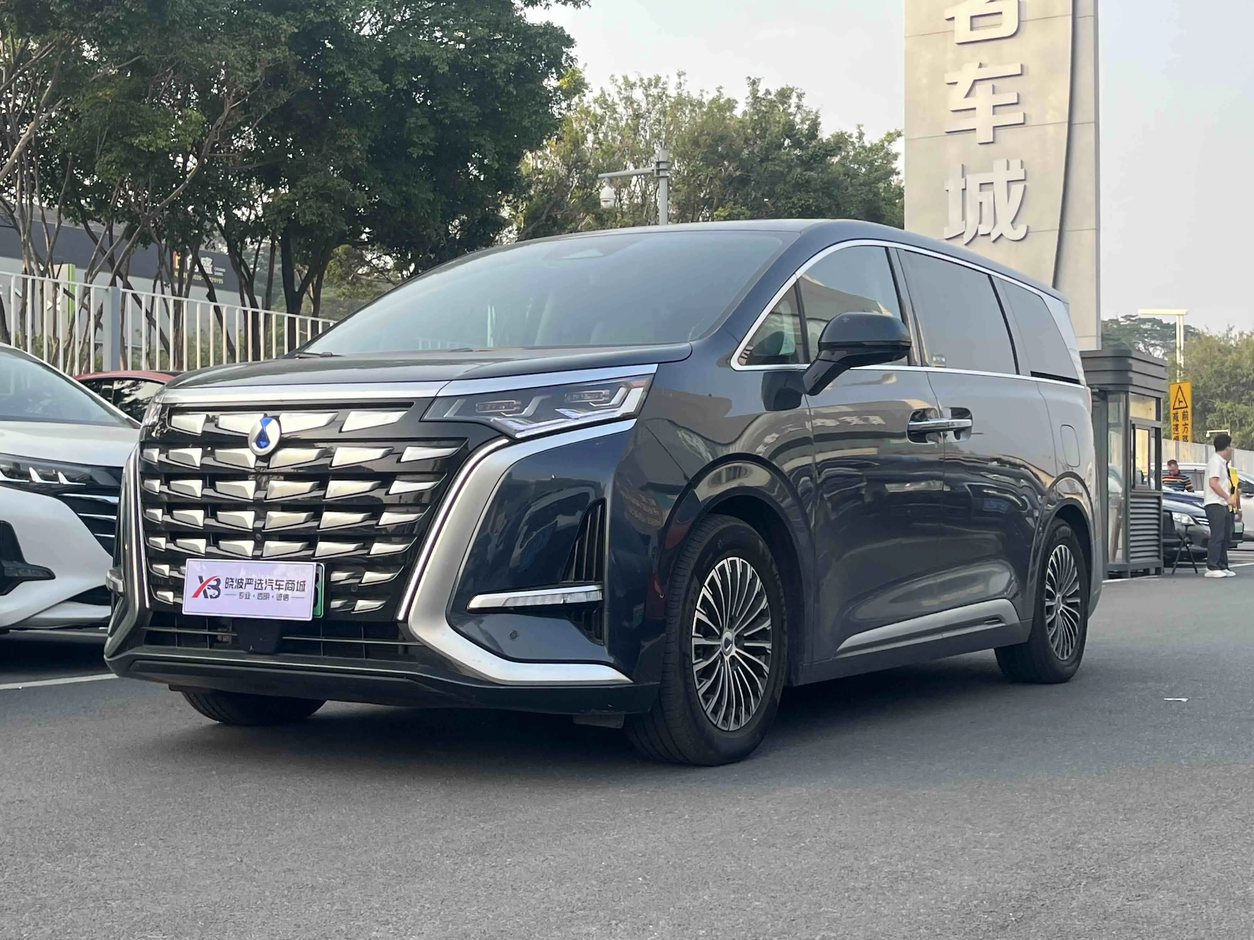 Denza D9 DM  из Китая