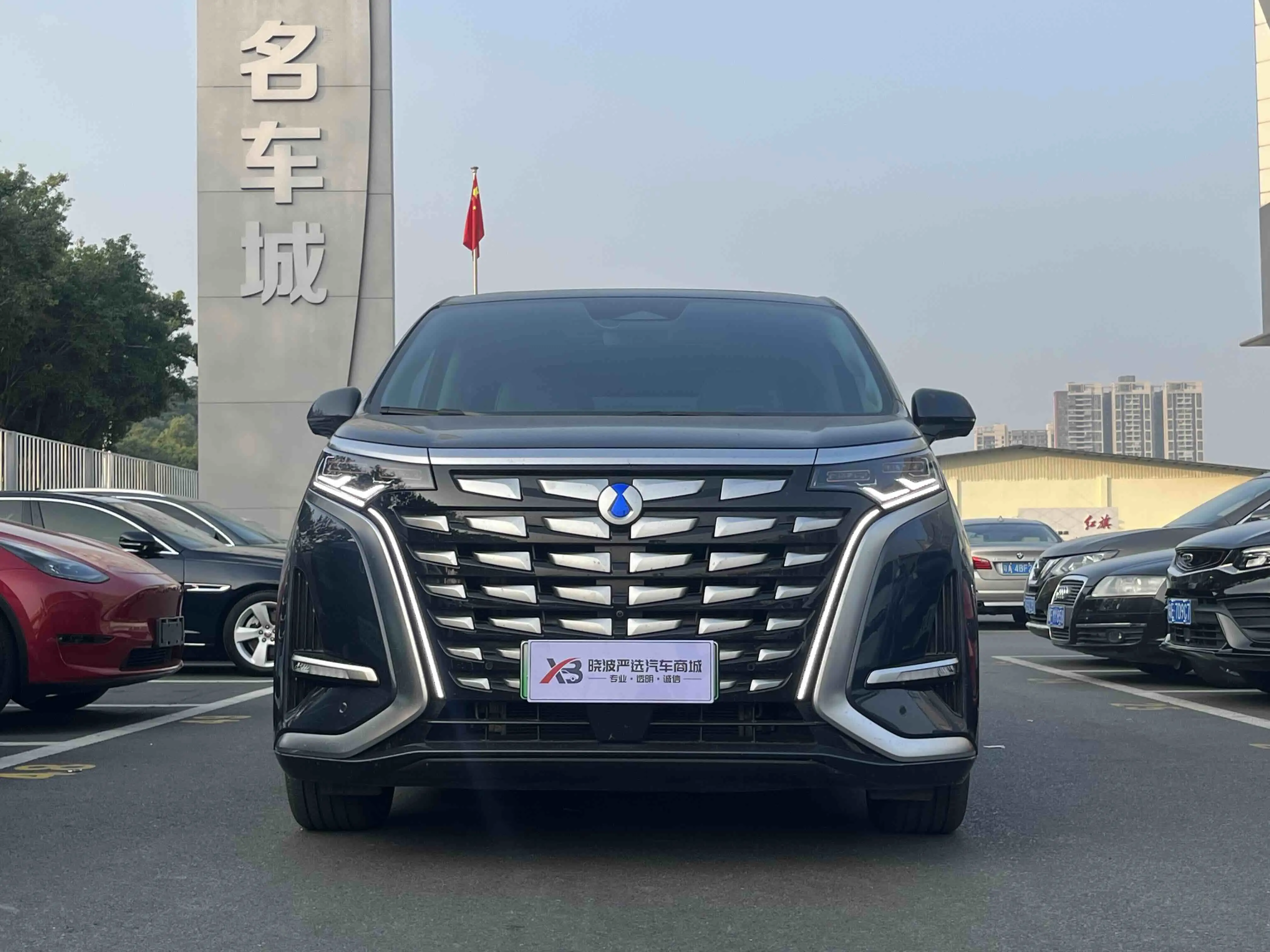 Denza D9 DM  из Китая