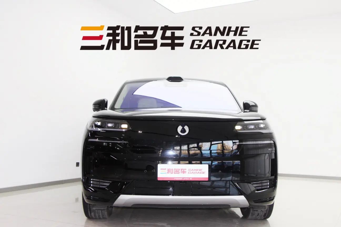 Denza Tengzhong N9 DM  из Китая