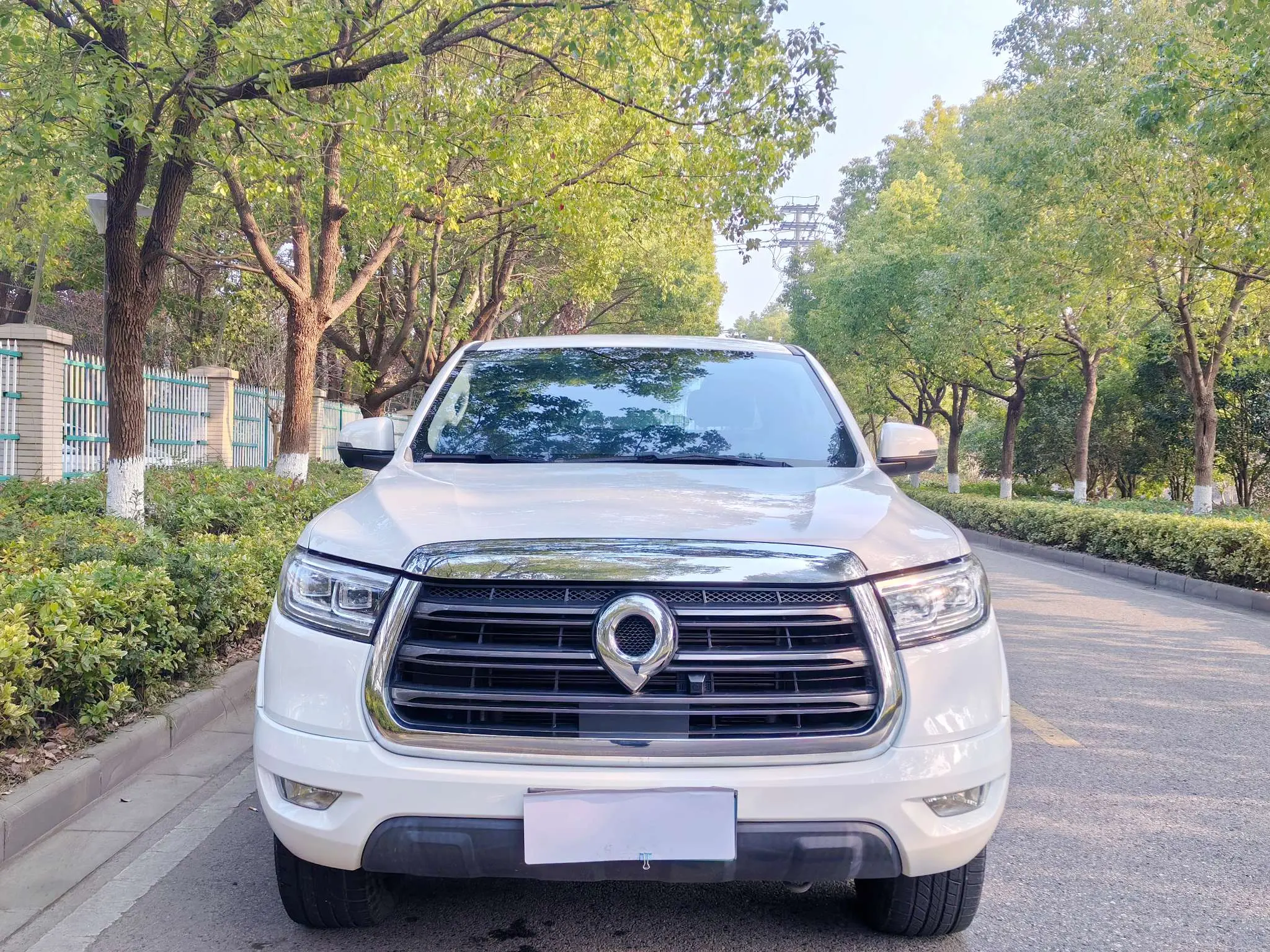 Great Wall Gun  из Китая