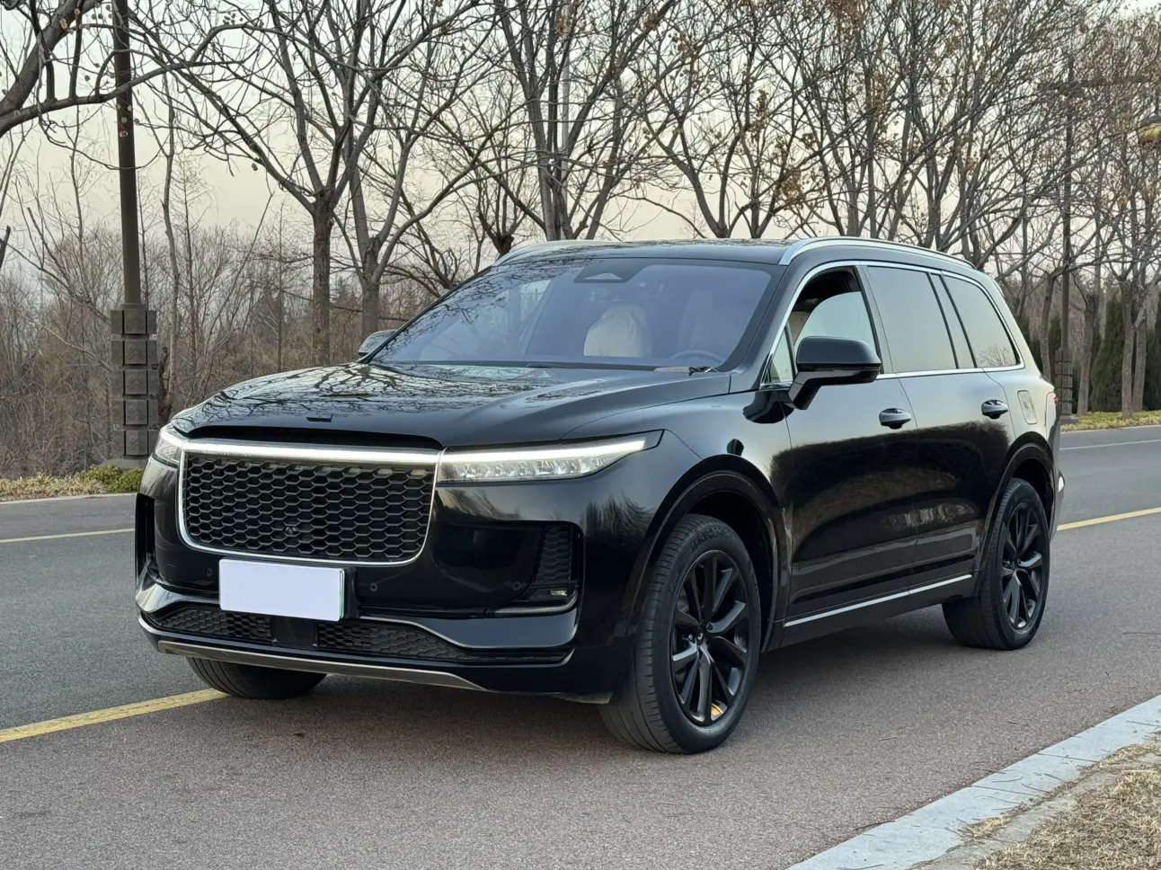 Li ONE (Ideal ONE)  из Китая