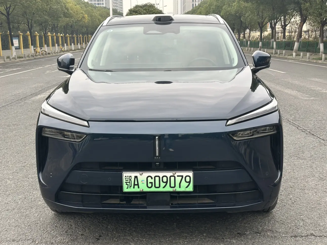 Wey Blue Mountain  из Китая