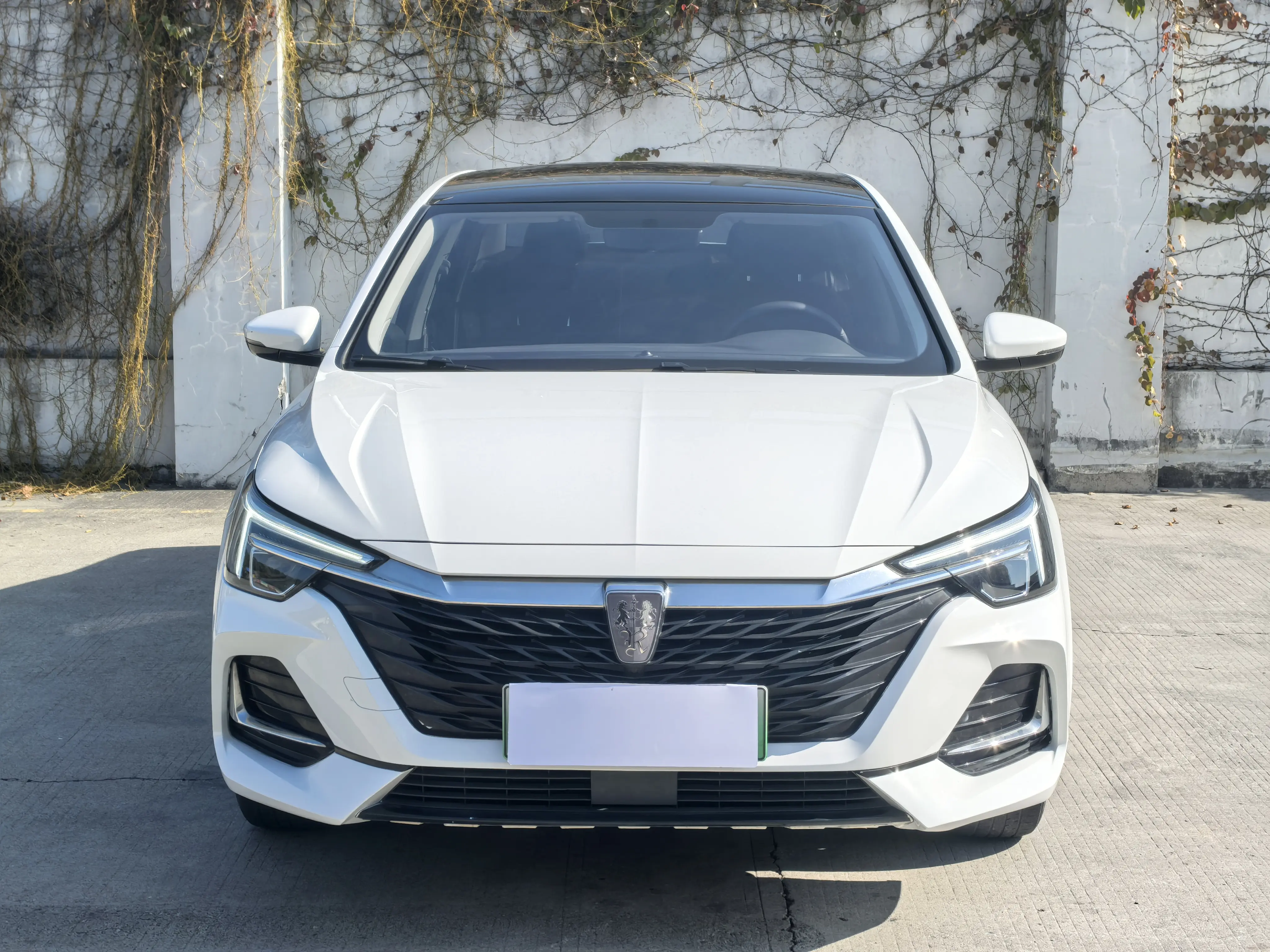 Roewe i6 MAX EV  из Китая